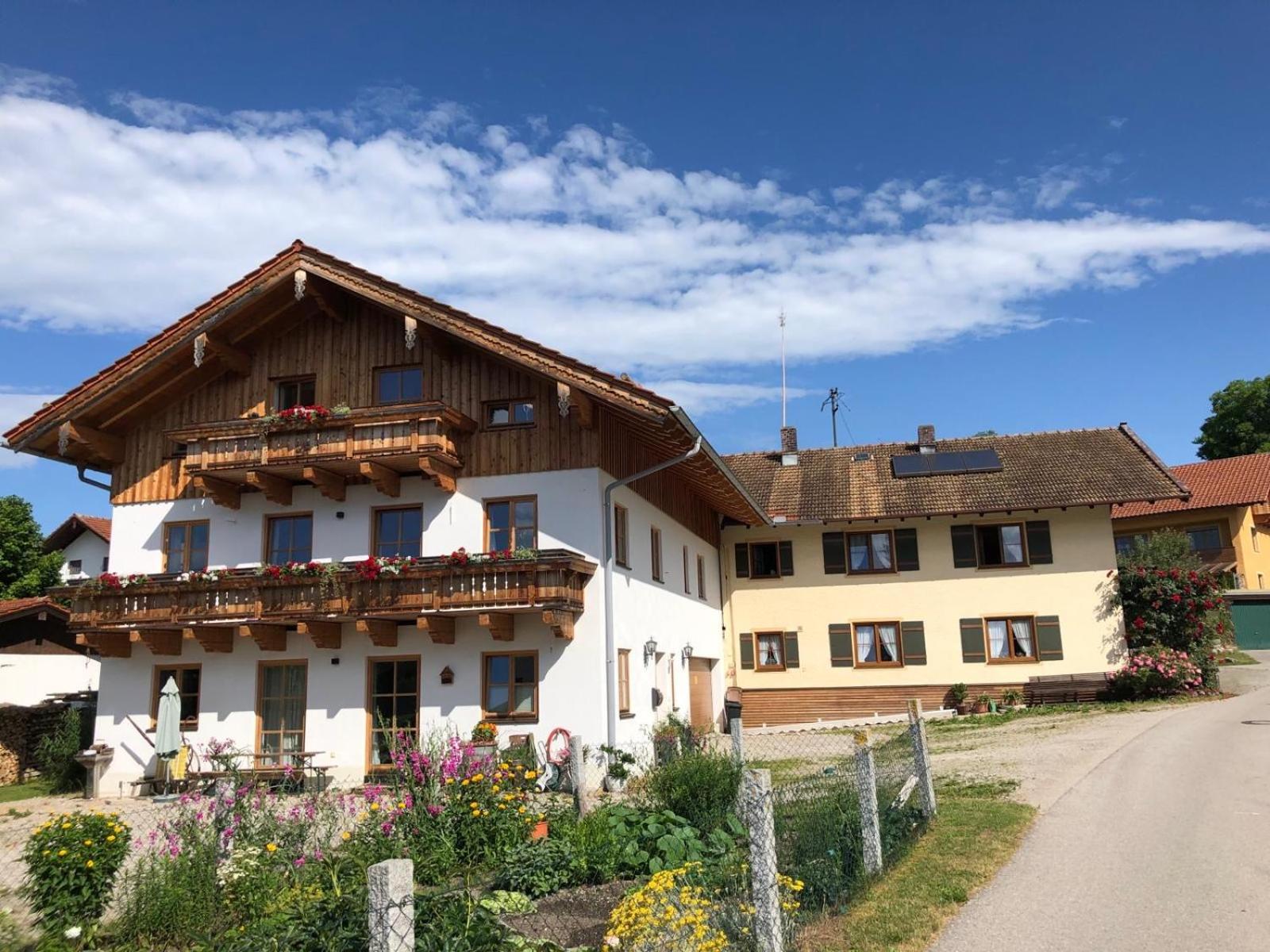 Taubennest