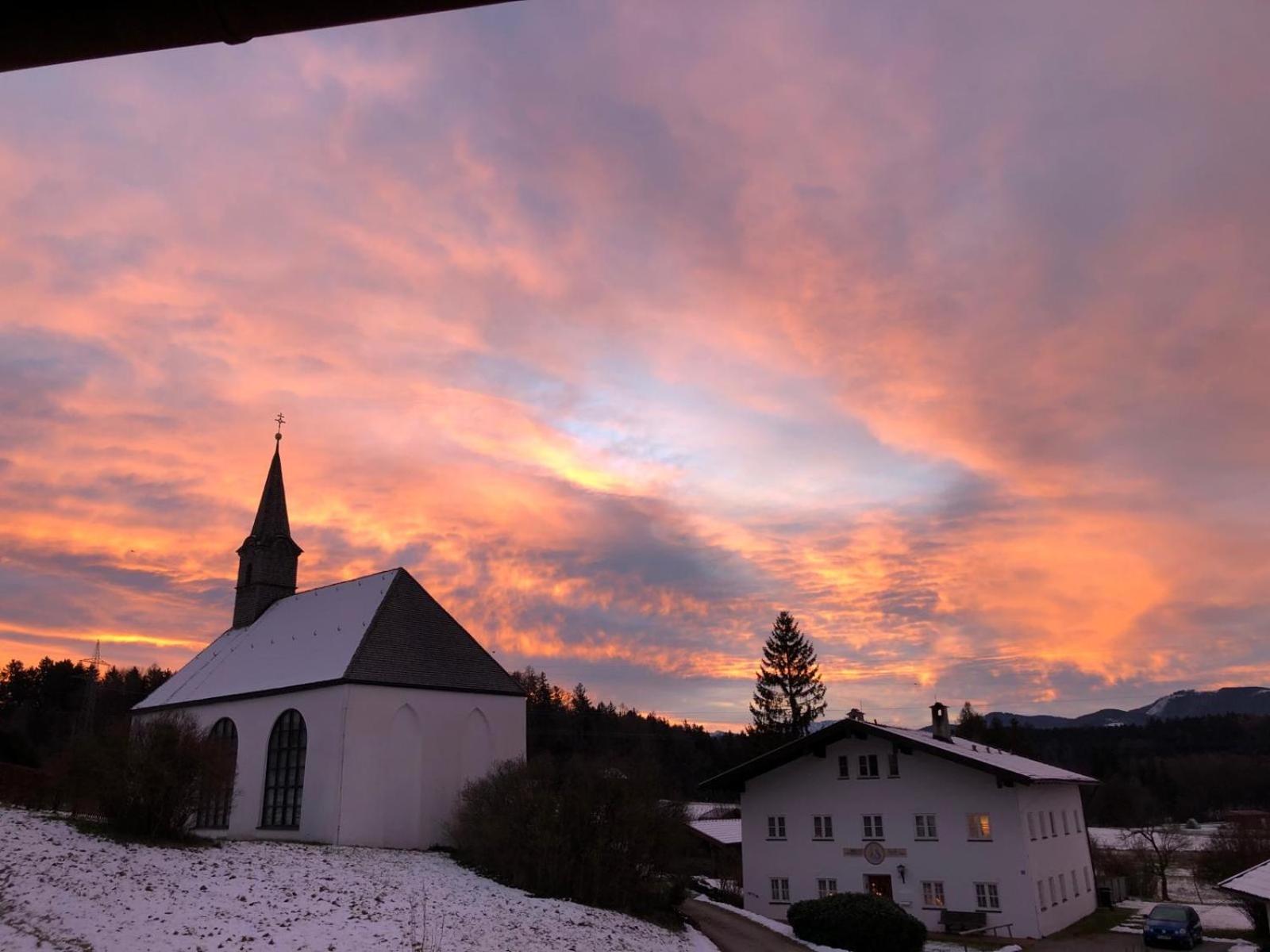 Taubennest