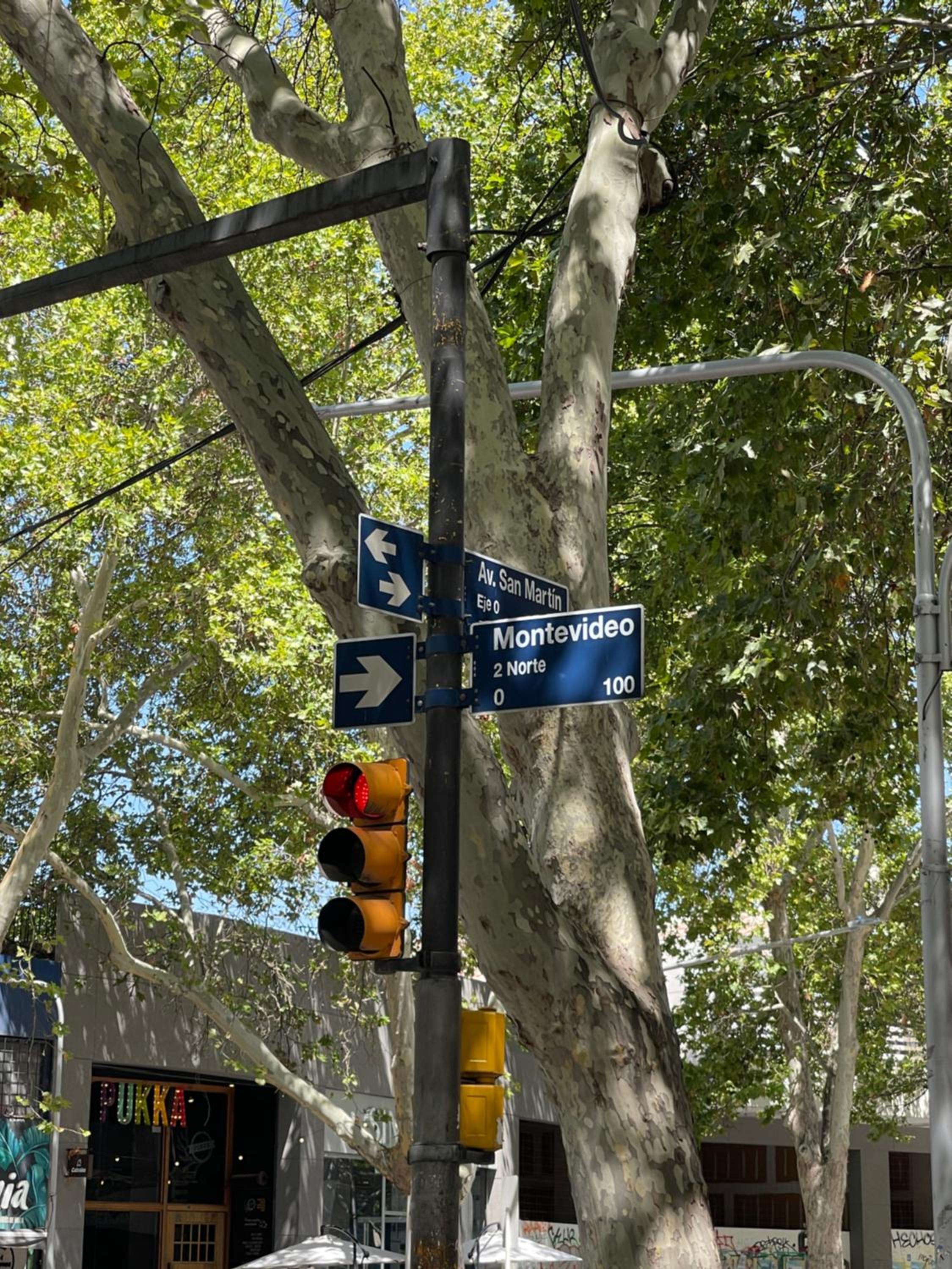 Corazón de Mendoza