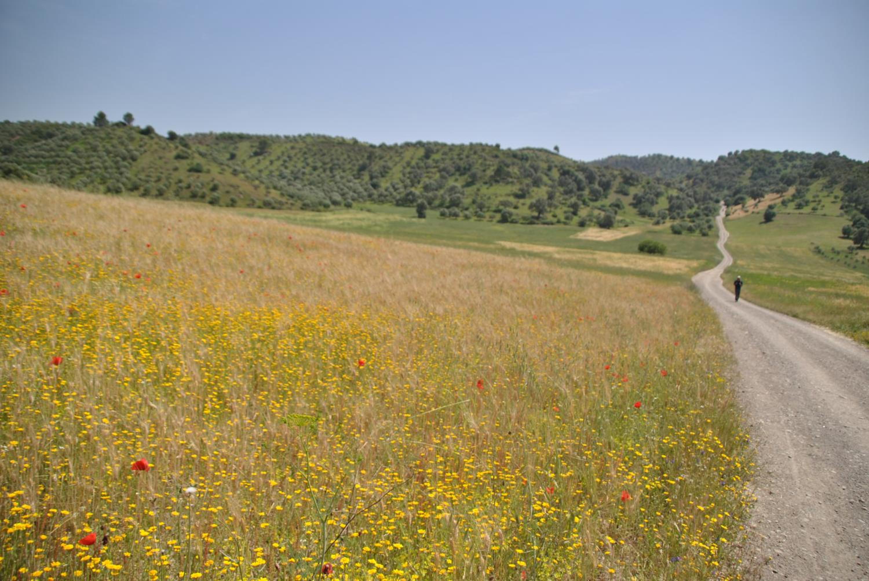 Photo 40