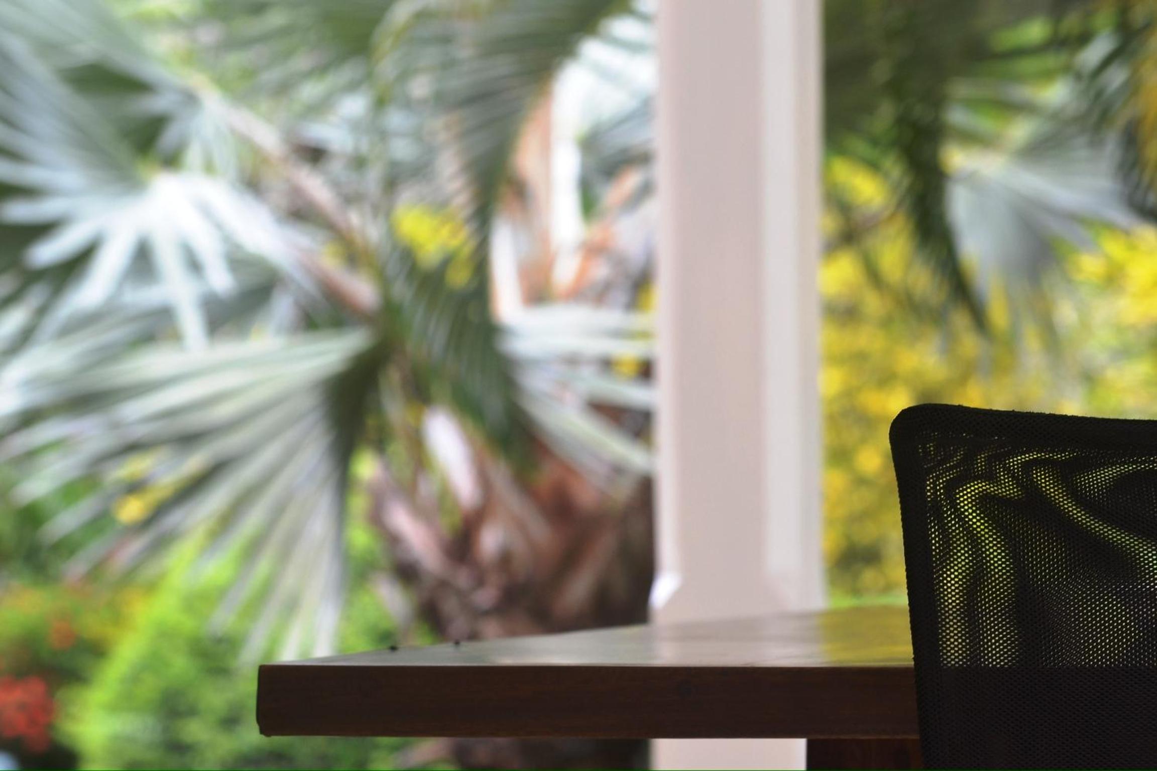 Seaside villa with housekeeping staff - Las Terrenas