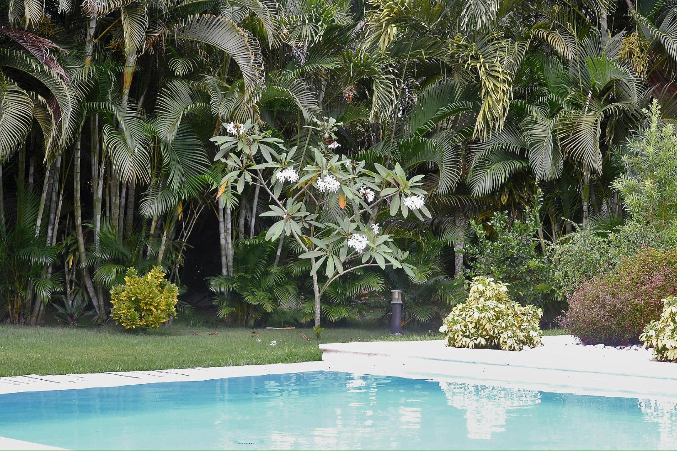 Seaside villa with housekeeping staff - Las Terrenas