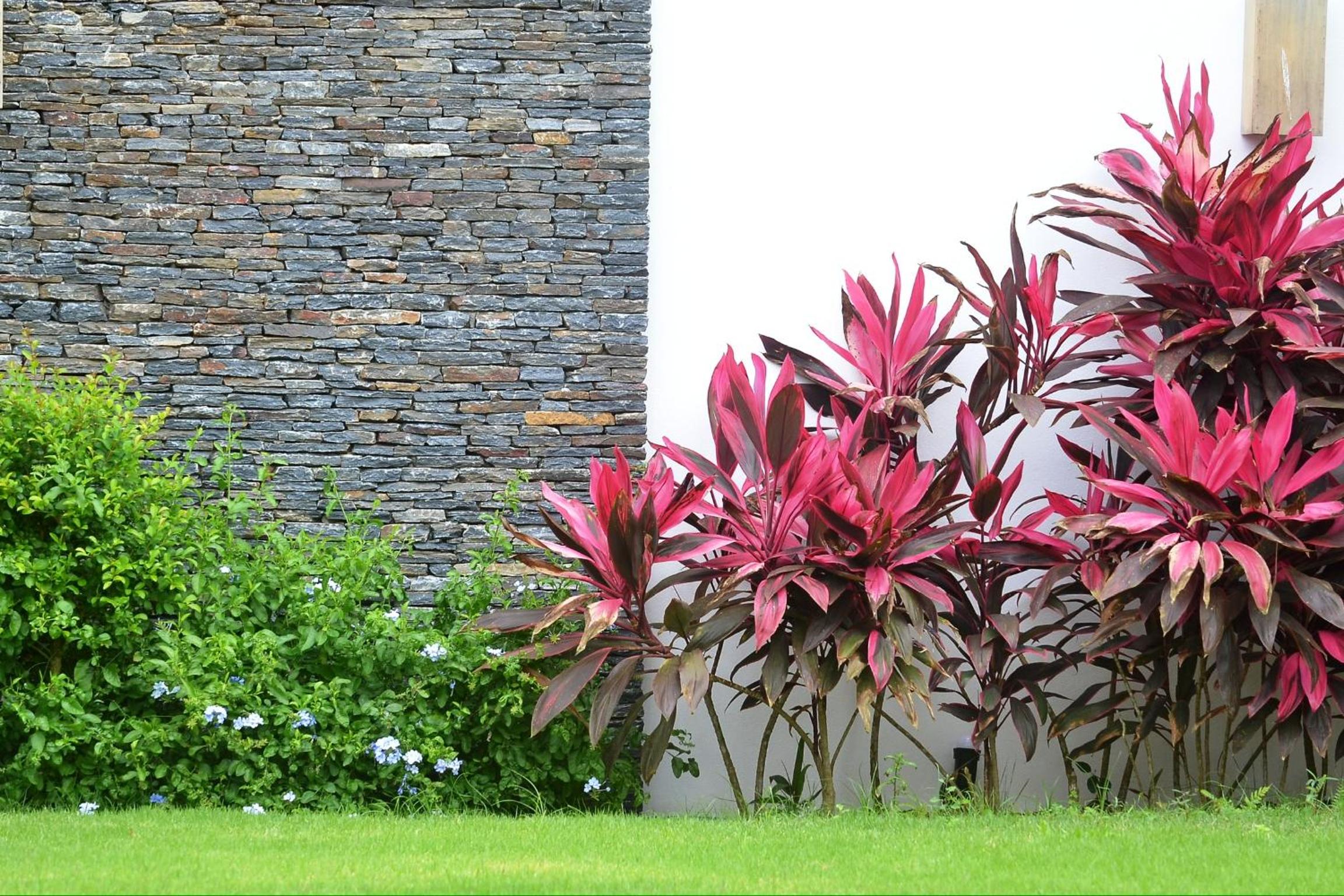 Seaside villa with housekeeping staff - Las Terrenas