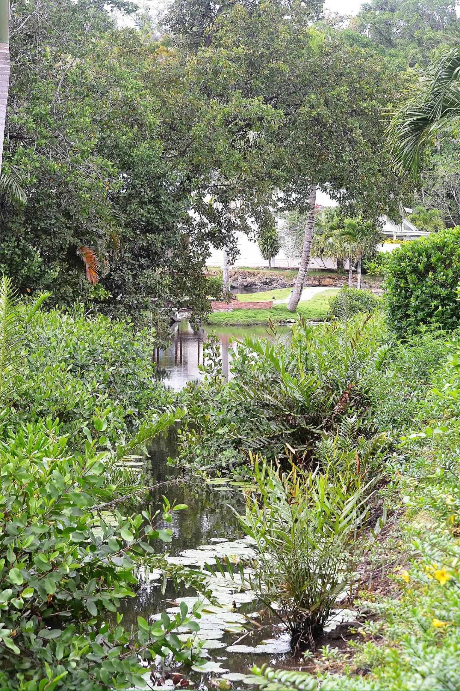 Seaside villa with housekeeping staff - Las Terrenas