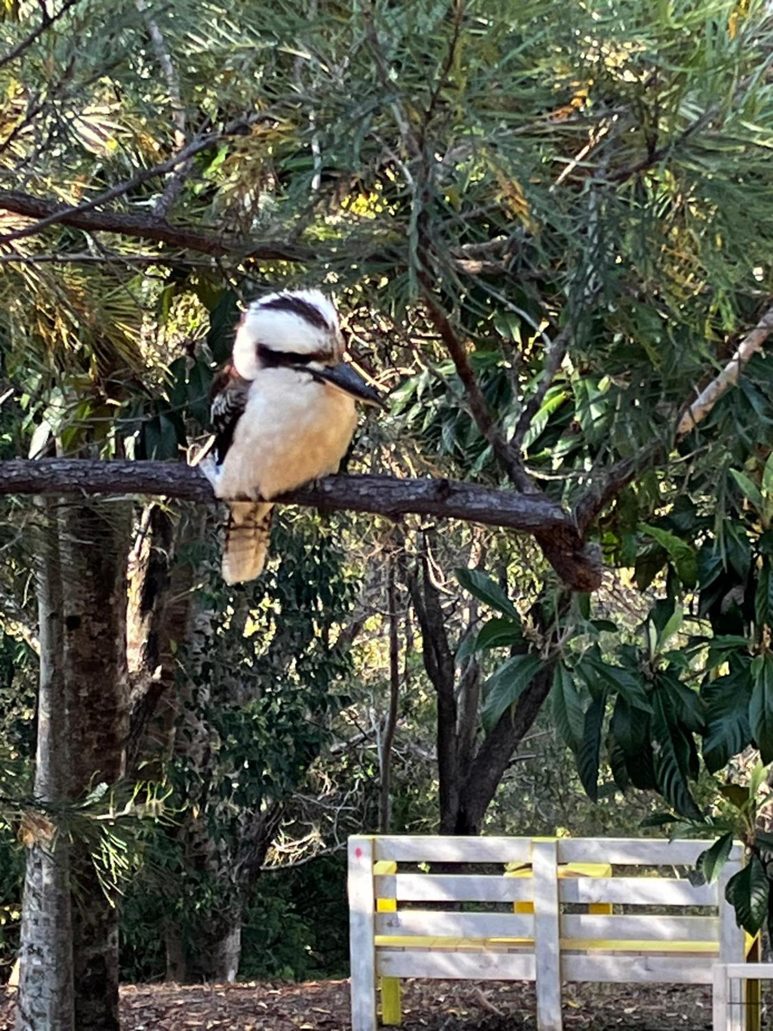 Noosa Hinterland Escape