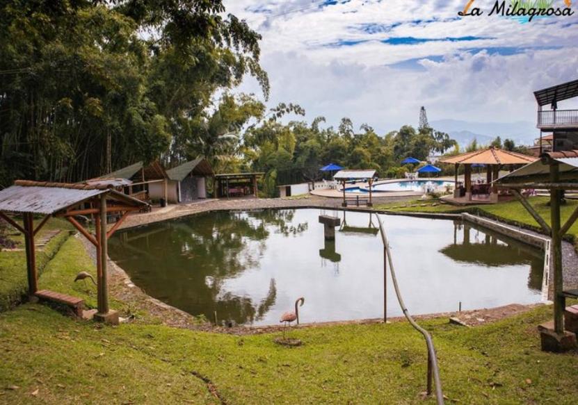 Bamboo Templo Munay