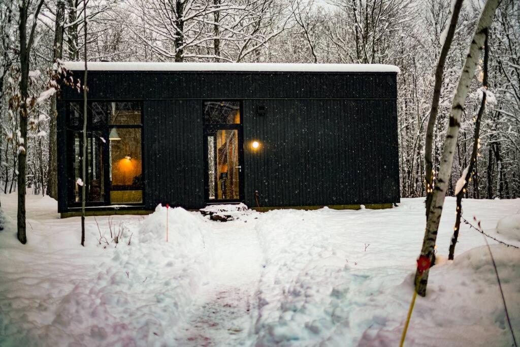 Glass cabin in the woods.