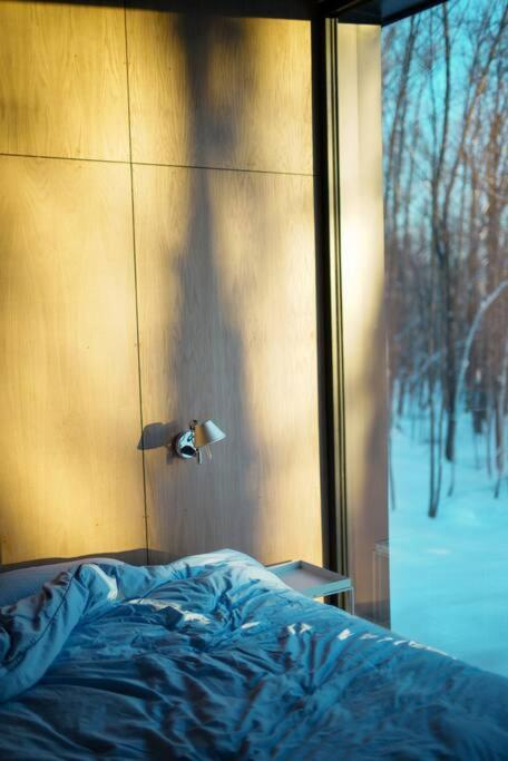 Glass cabin in the woods.