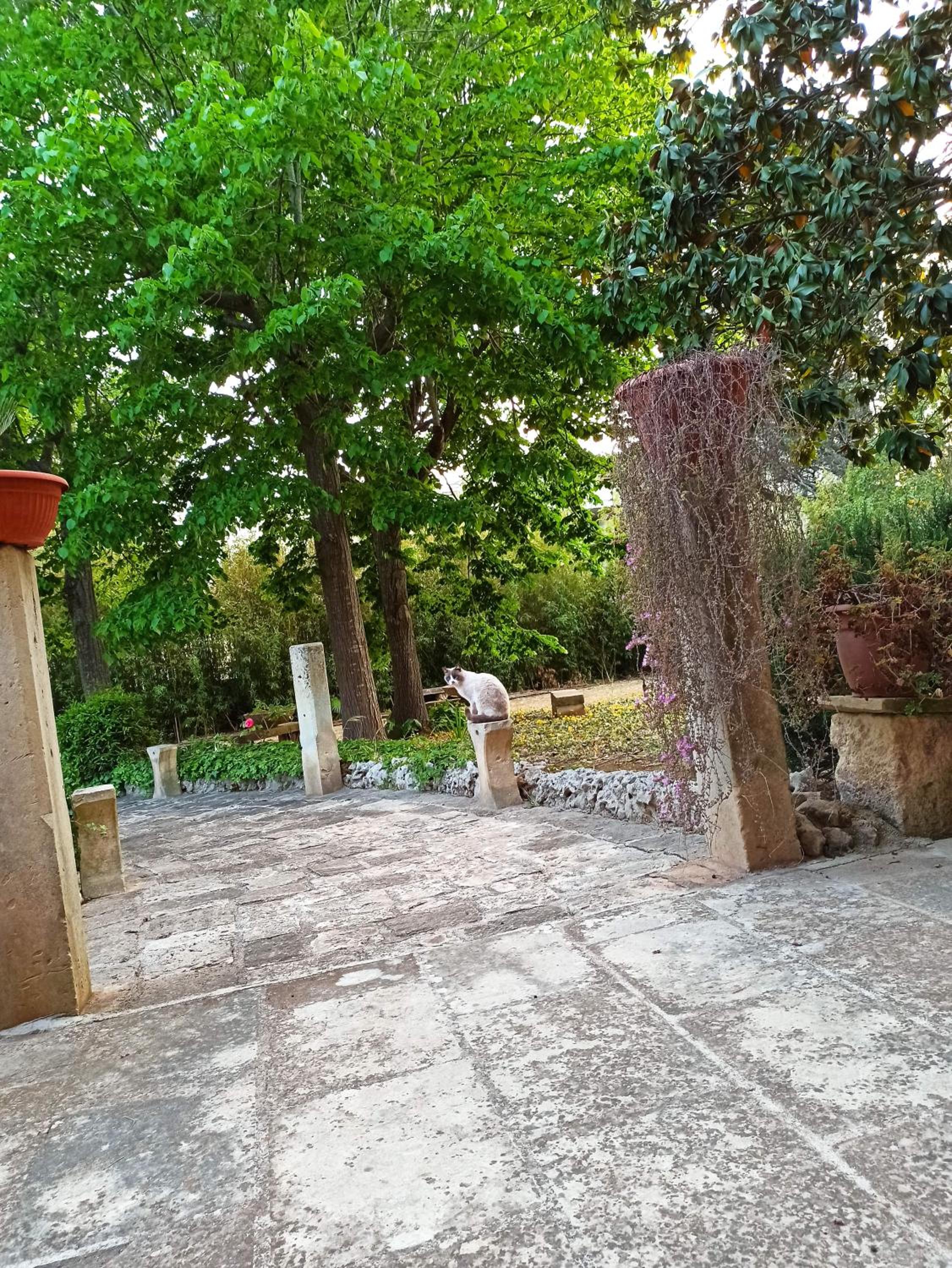 Photo 39