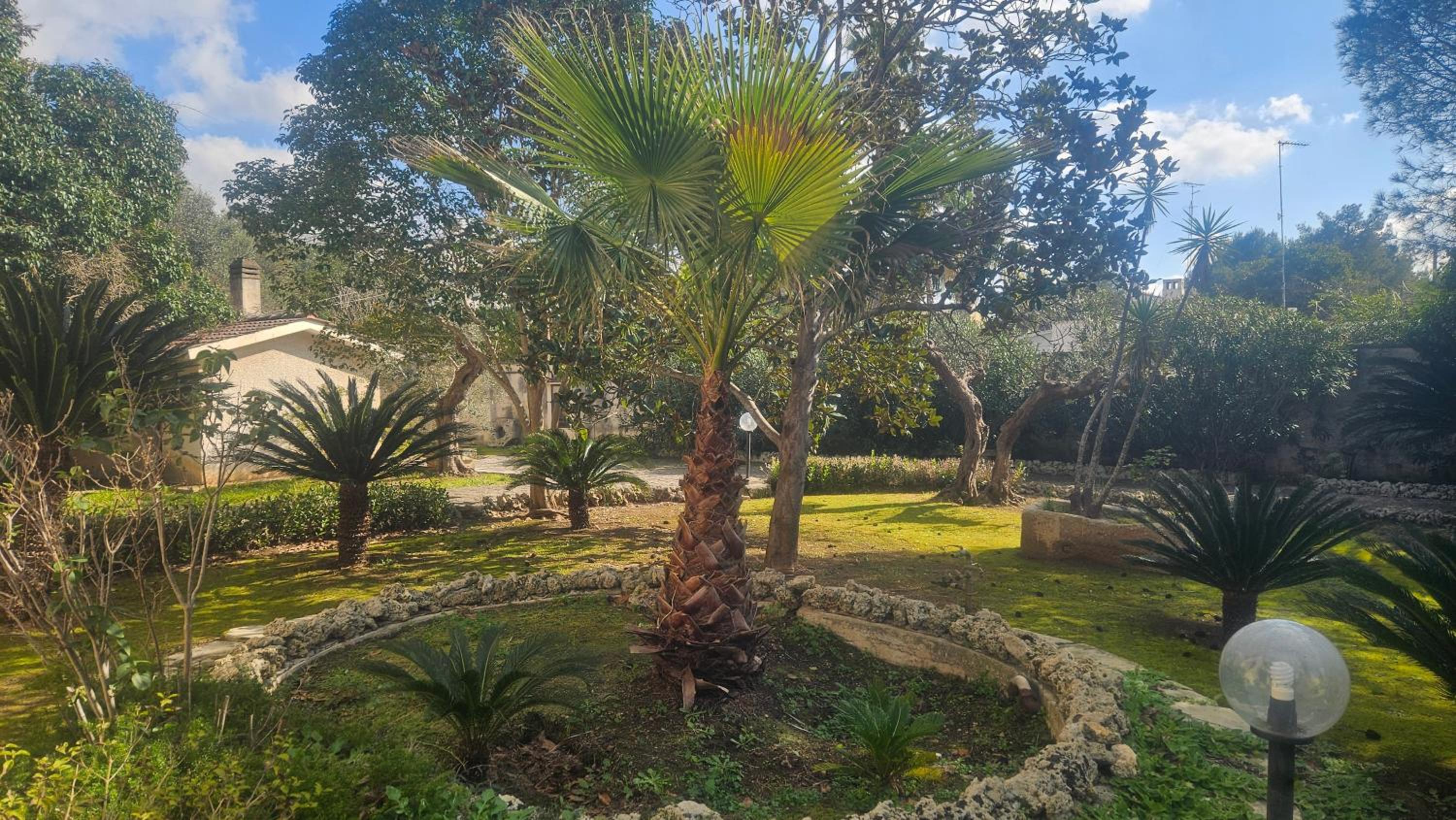 Photo 43
