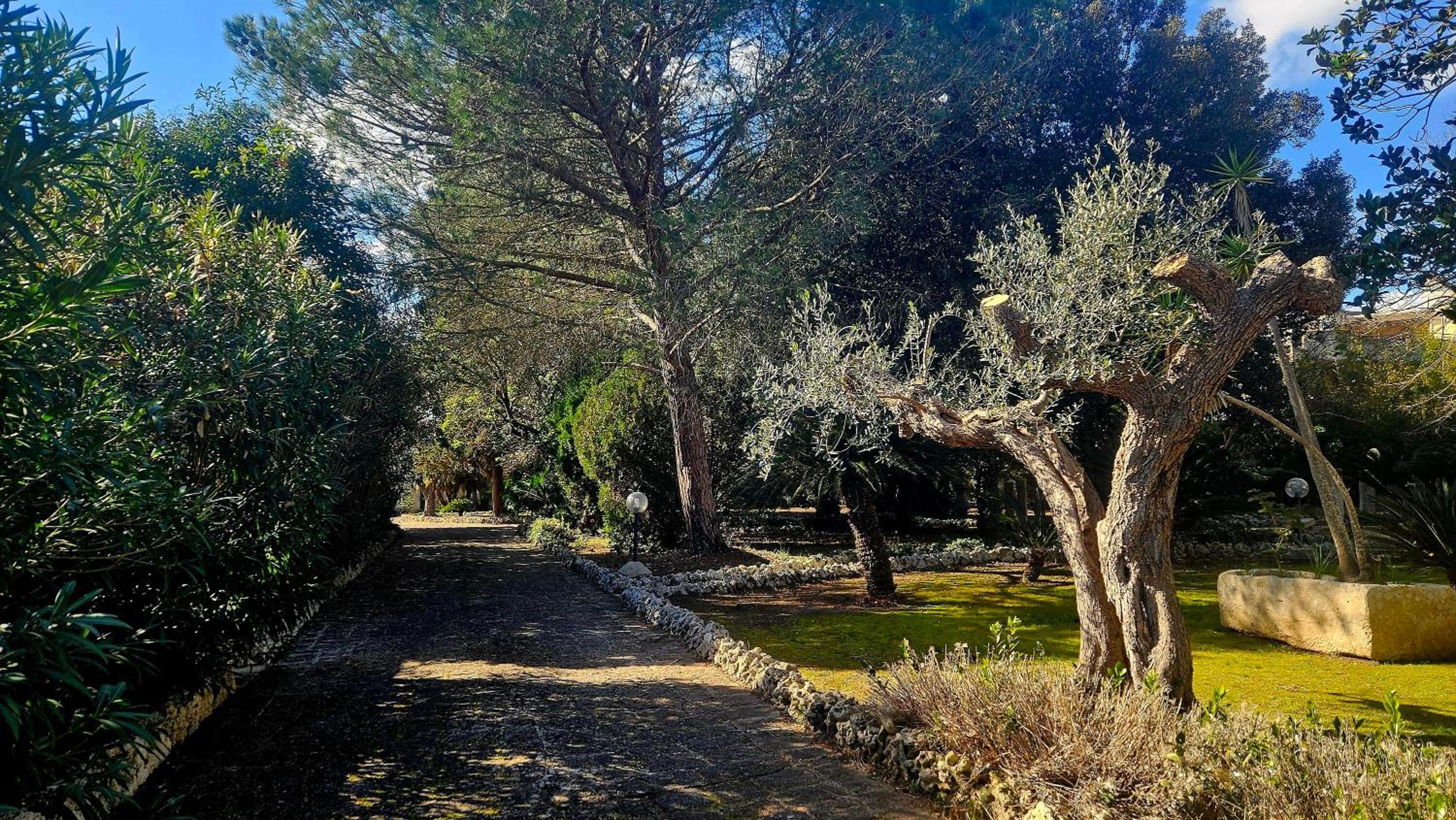 Photo 42