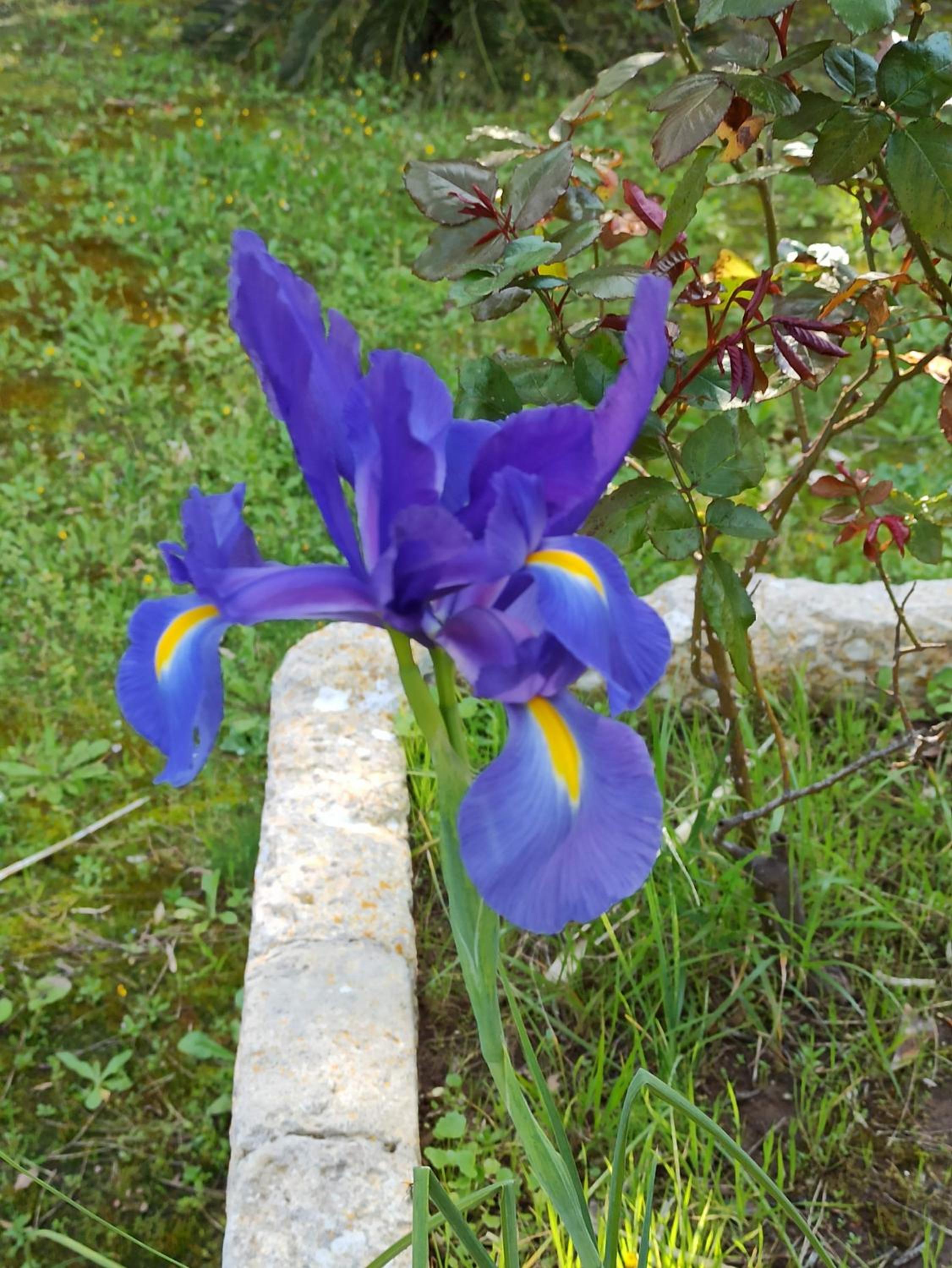 Photo 24