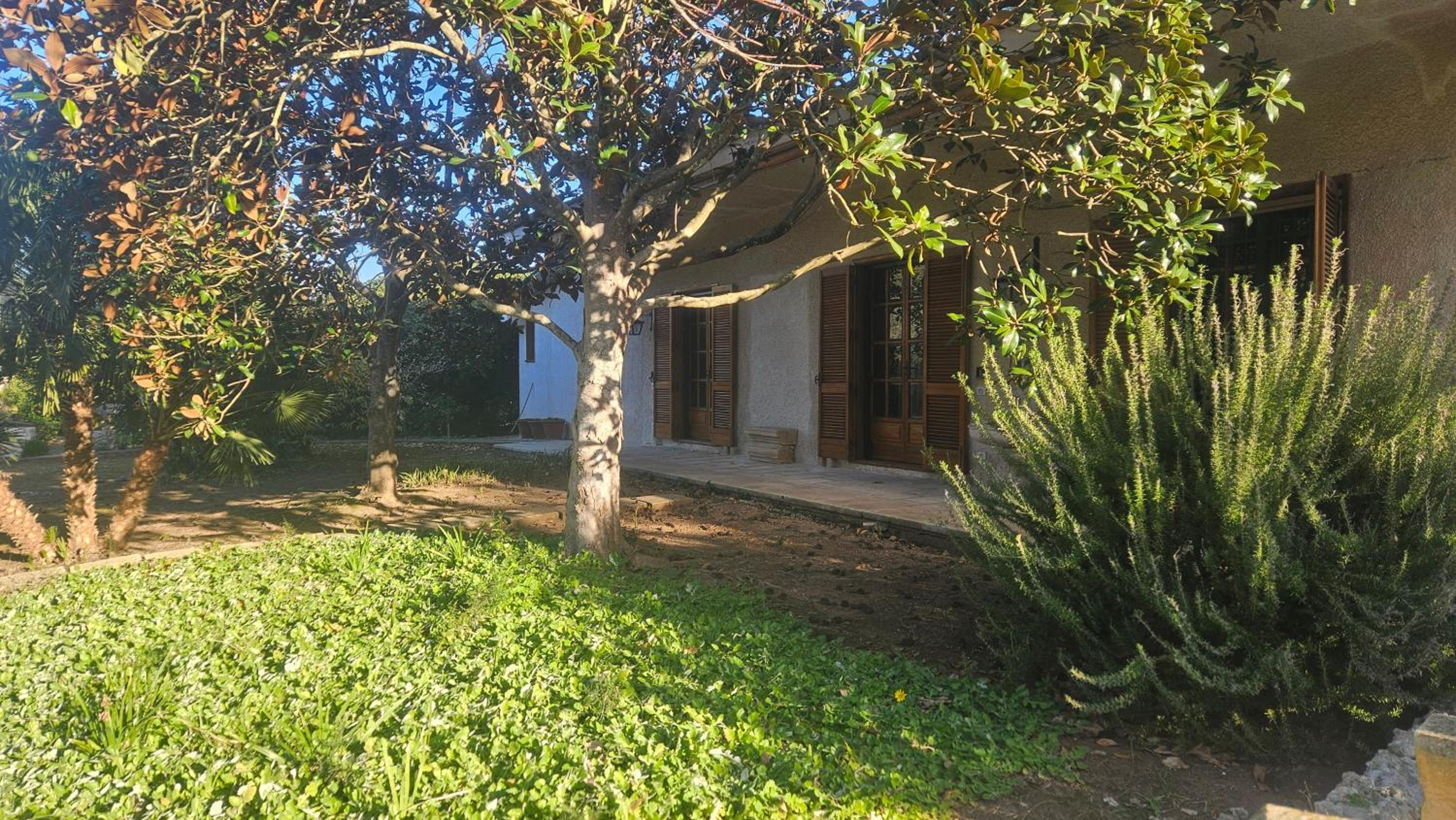 Photo 25