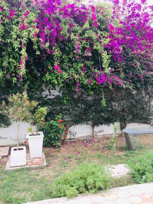 Charmant appartement à la Soukra view 2