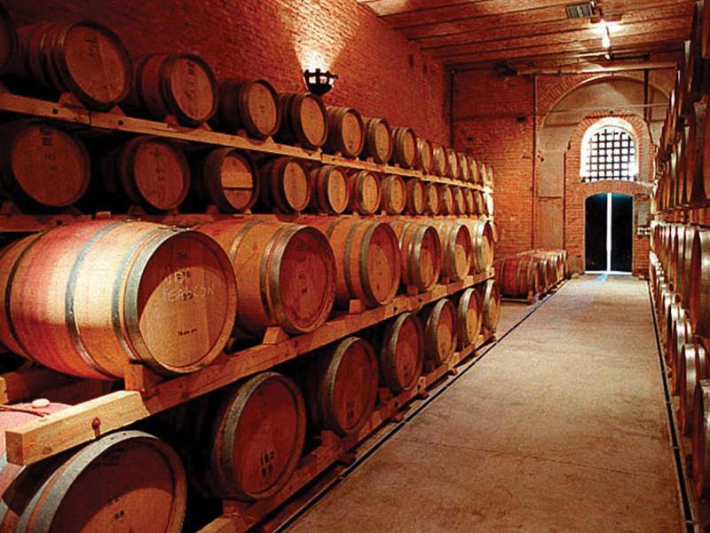 Mendoza es Montaña, Paz y Malbec