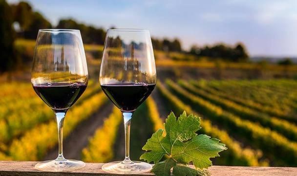 Mendoza es Montaña, Paz y Malbec