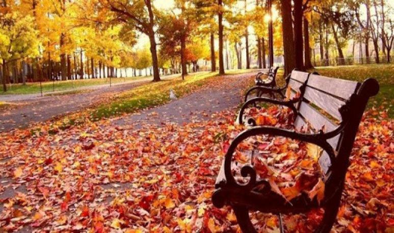 Mendoza es Montaña, Paz y Malbec