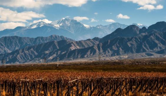 Mendoza es Montaña, Paz y Malbec