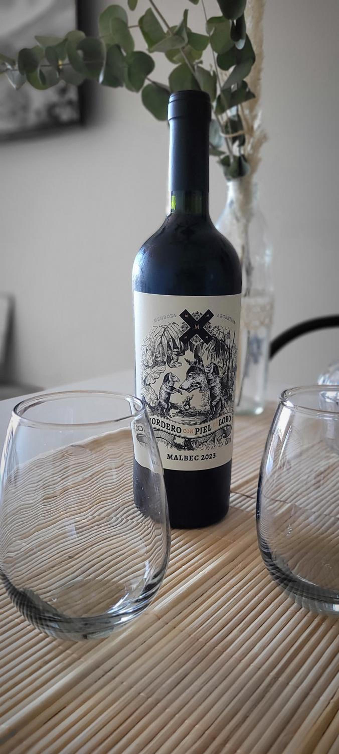 Mendoza es Montaña, Paz y Malbec