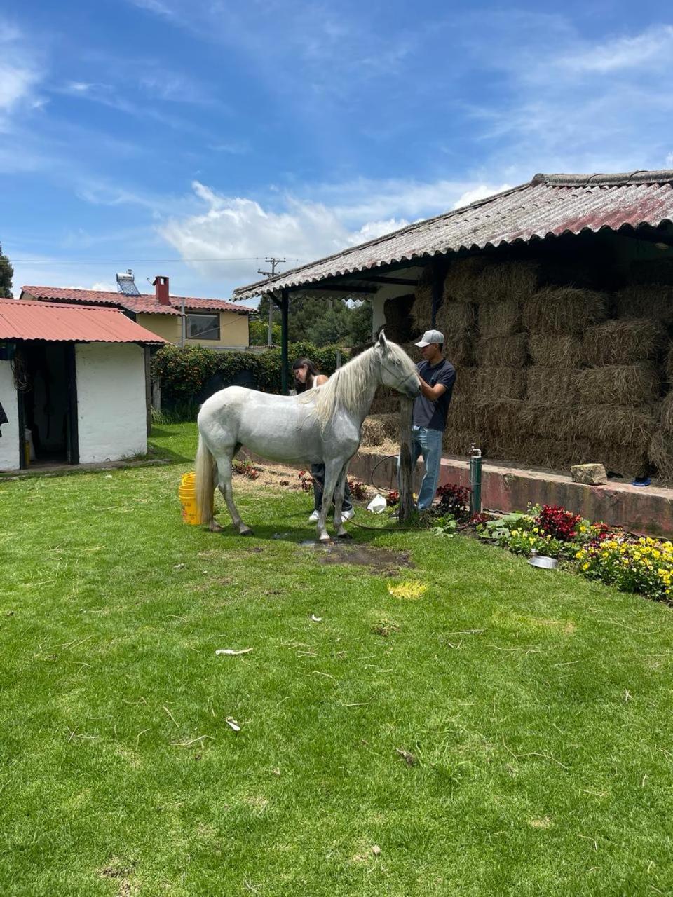 Luxury Finca el Ensueño, casa entera, con Sauna, Jacuzzi, BBQ y Caballos