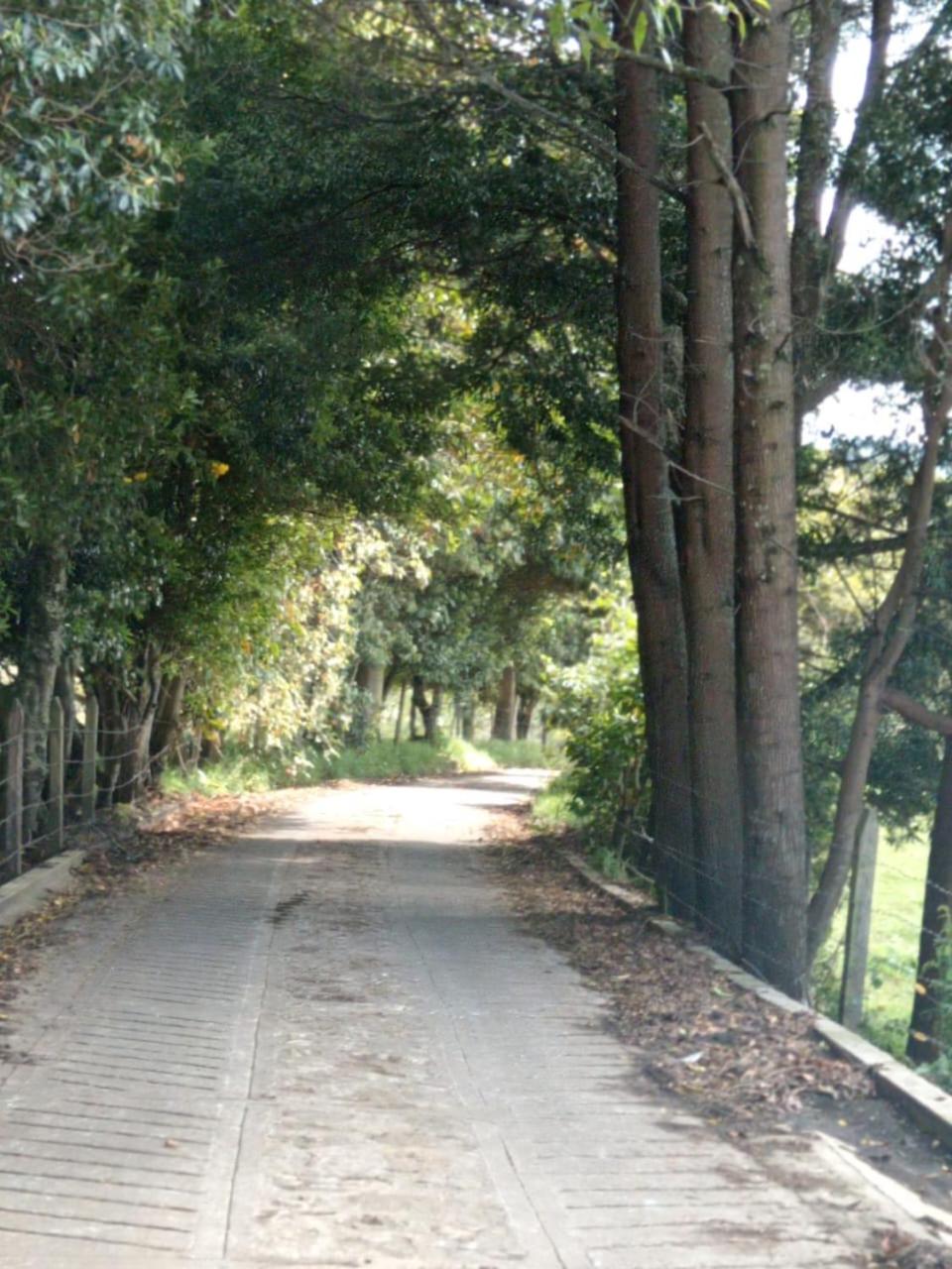 Finca Severo Refugio