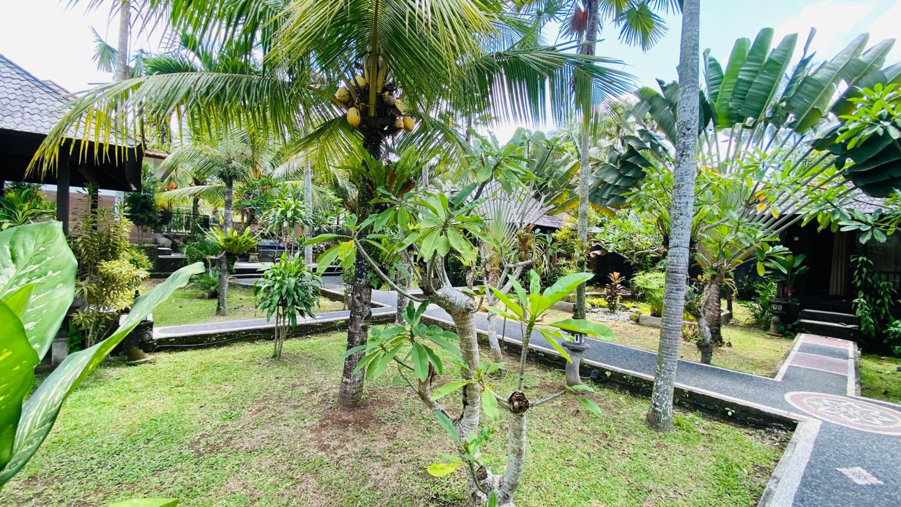 Dong Loka Guesthouse Bali