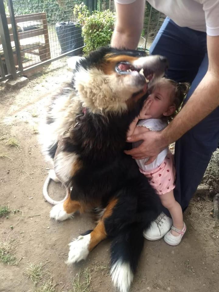human