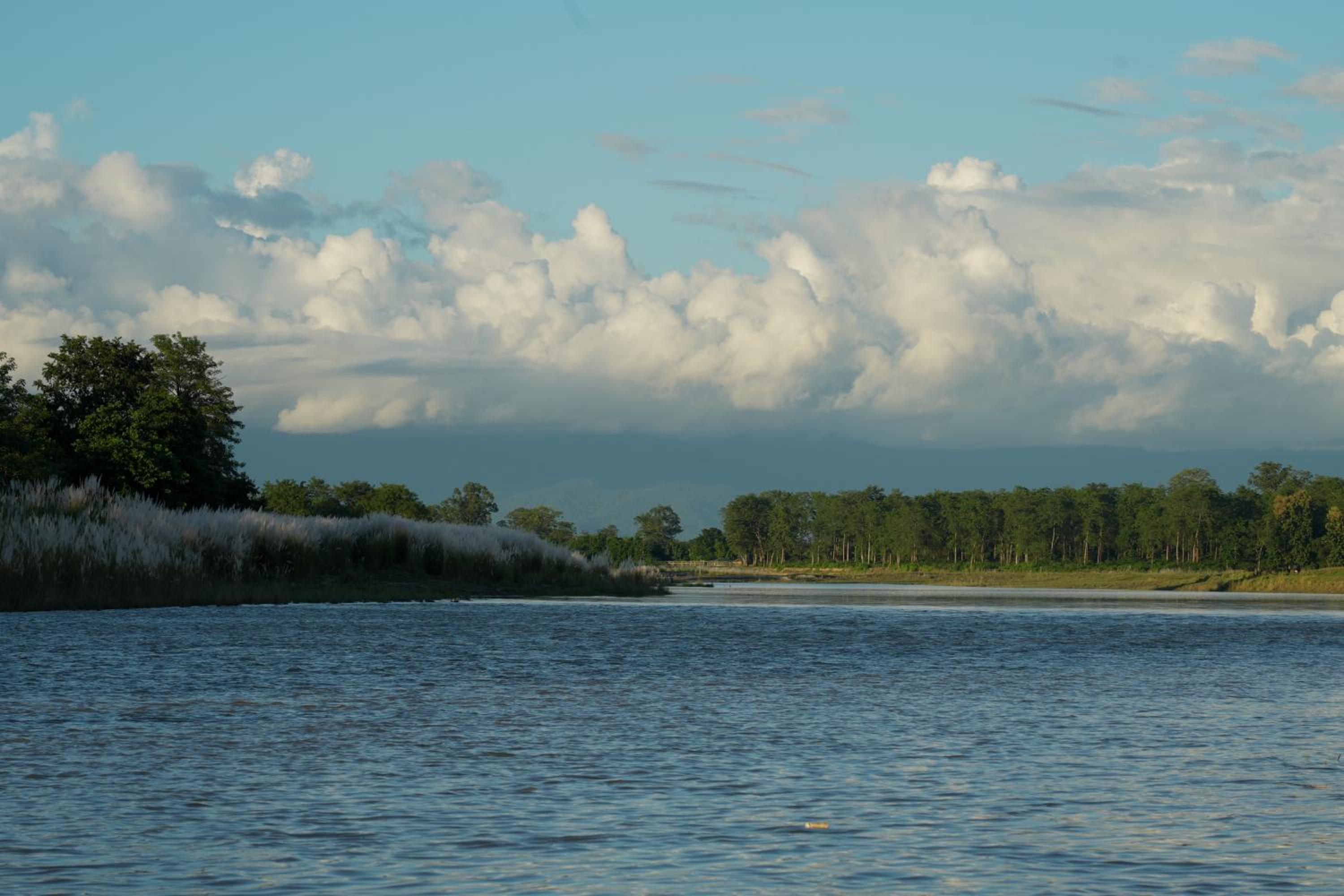 Photo 46