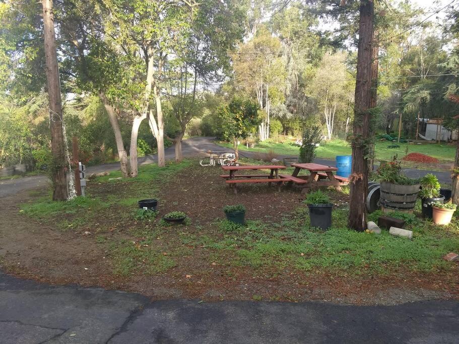 Farm house retreat on the hills near BART view 5