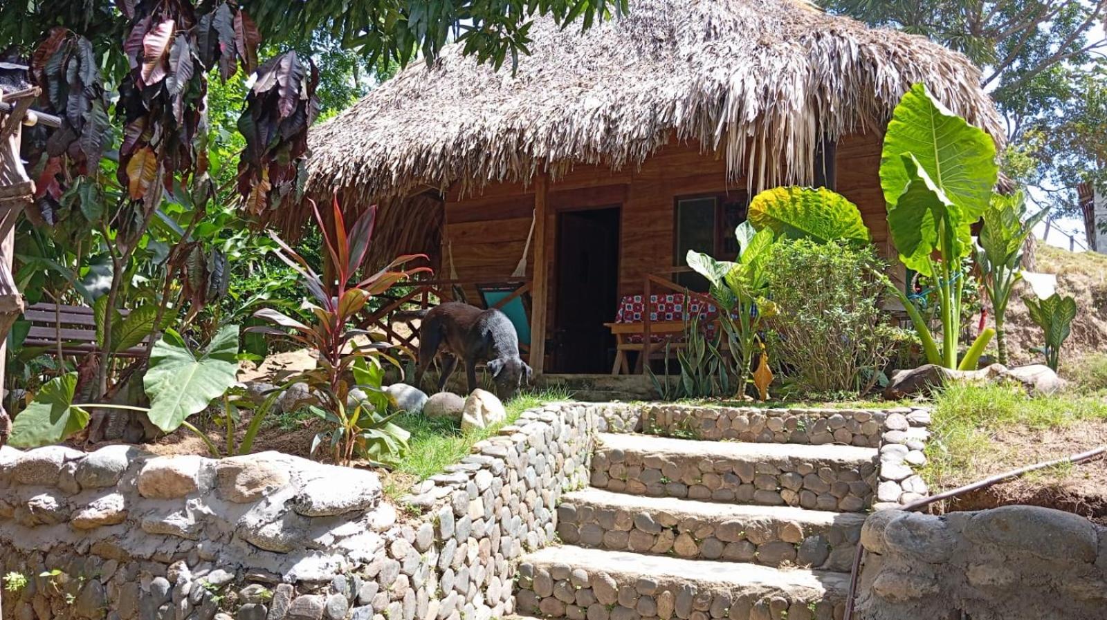 ECOCABAÑAS DIOSA JAGUAR tayrona