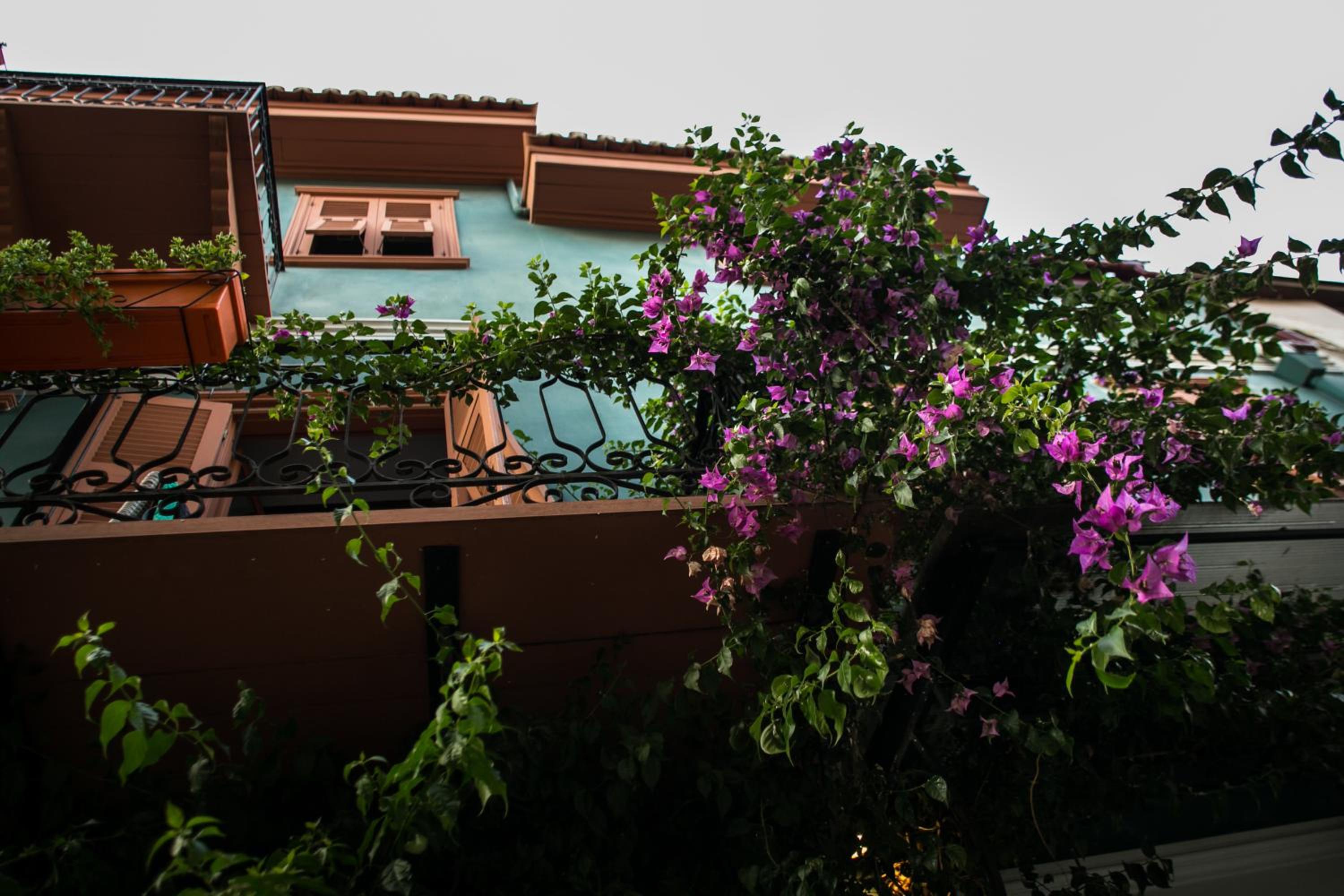 Kyveli Suites