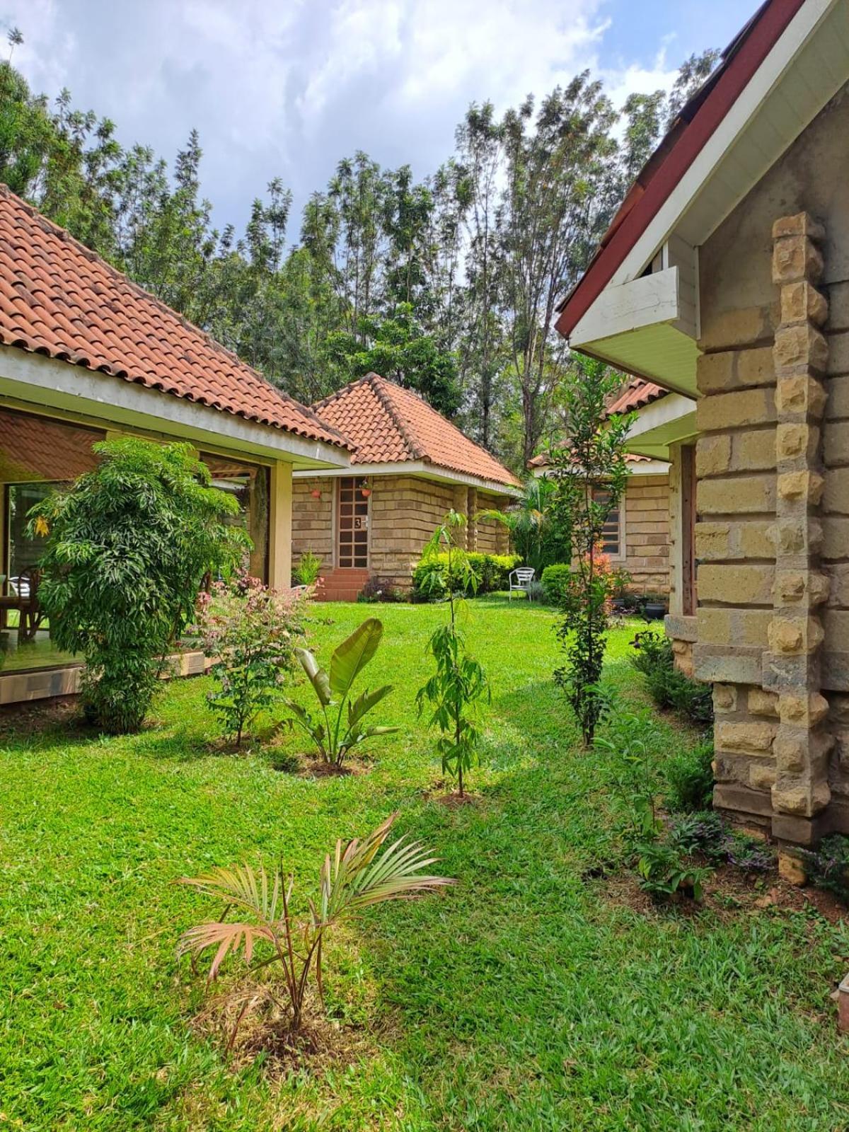 Od Kidi Cottages view 5