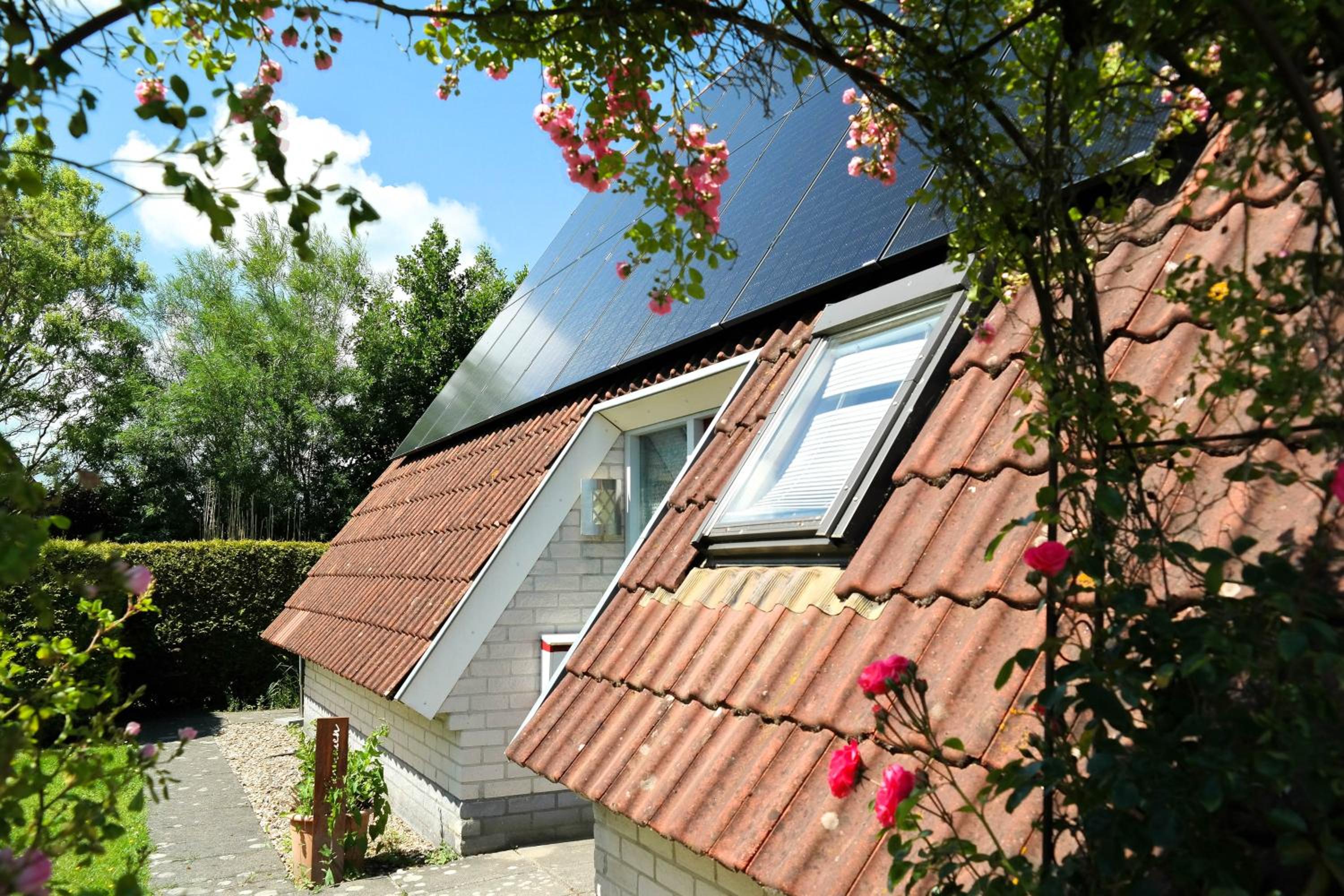 Urlaubsruhe 6 Pers Holiday home w terrace close to National Park Lauwersmeer