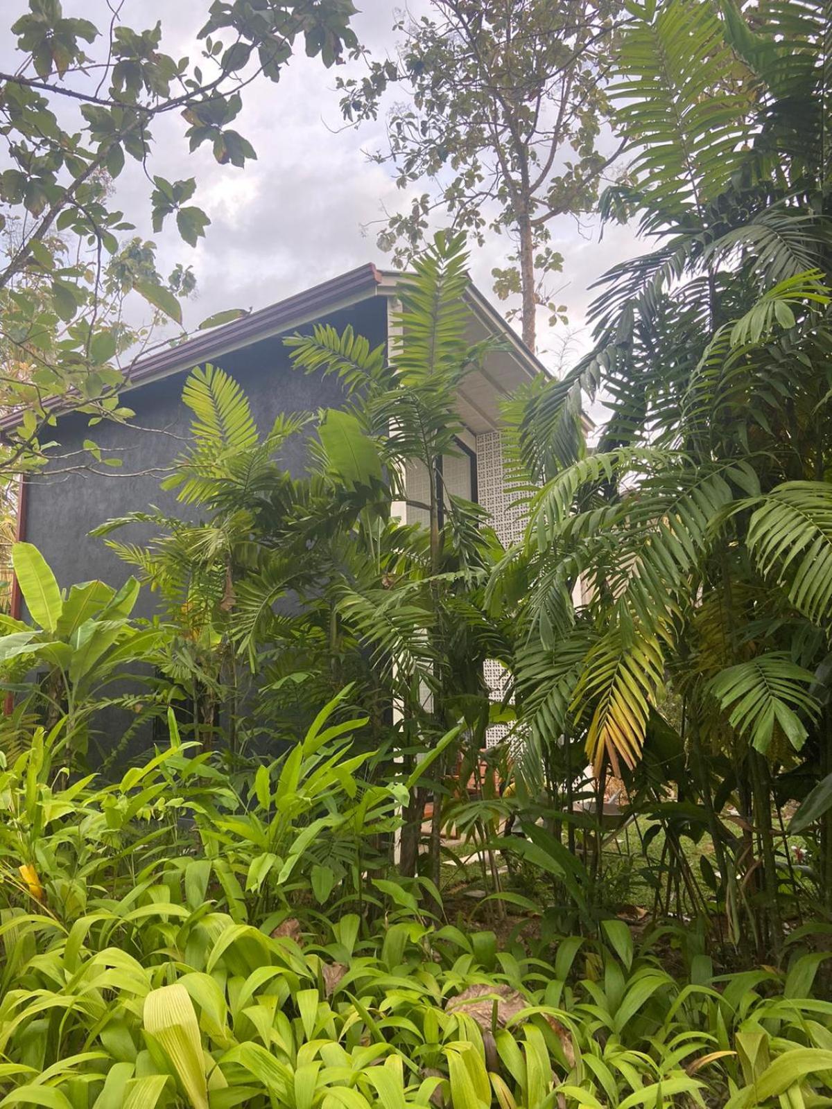 Licuala Luxury Jungle Bungalows