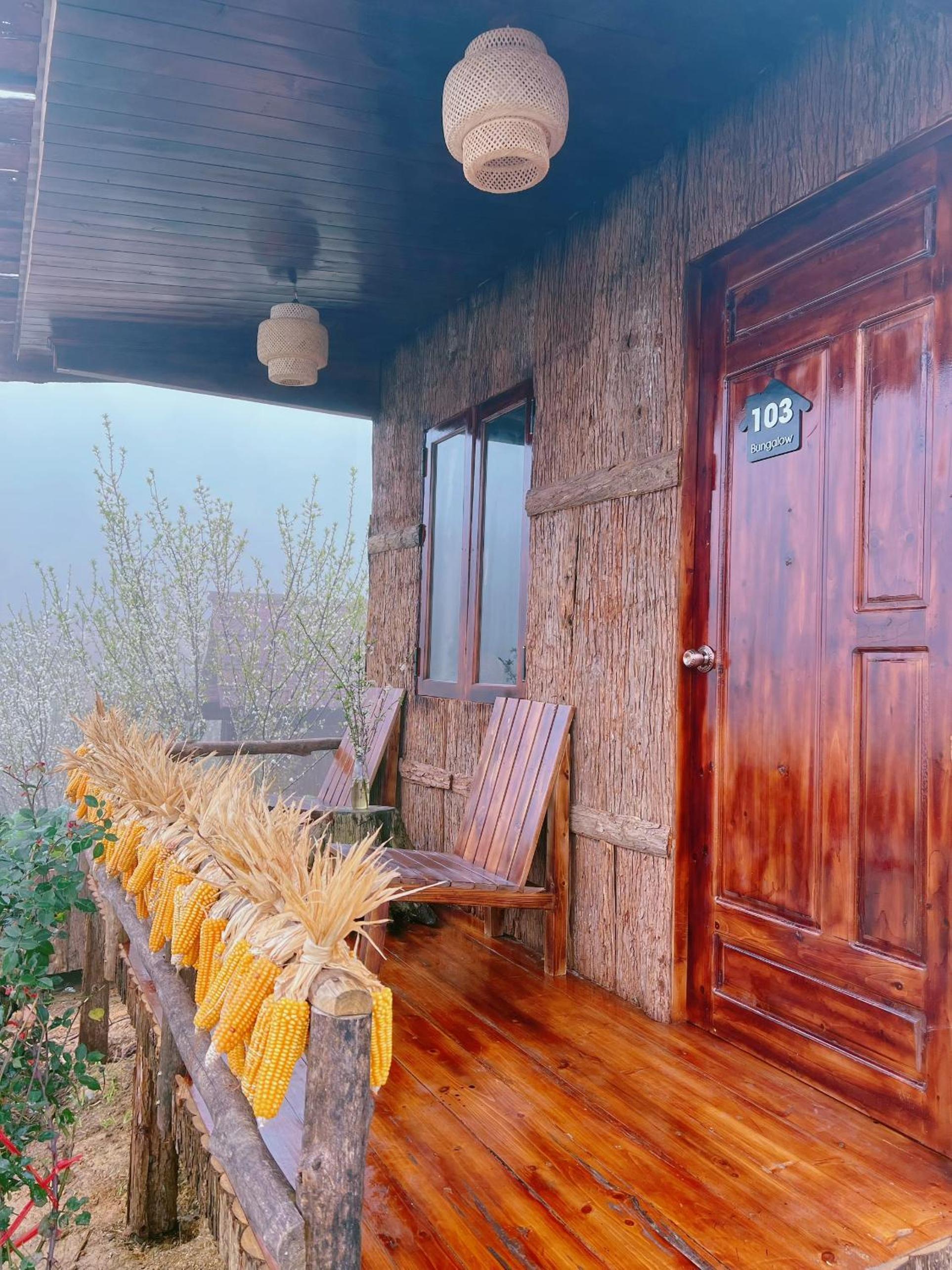 Photo 37