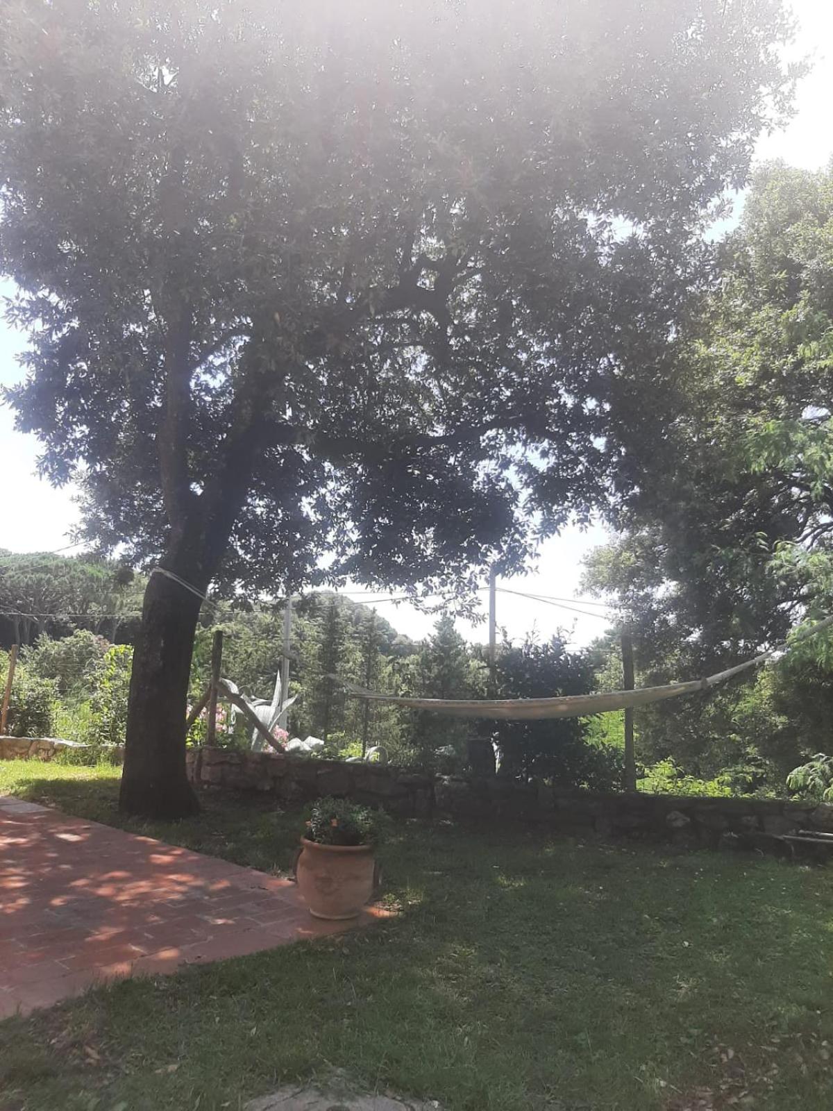 Villa Chiatri, photo 24