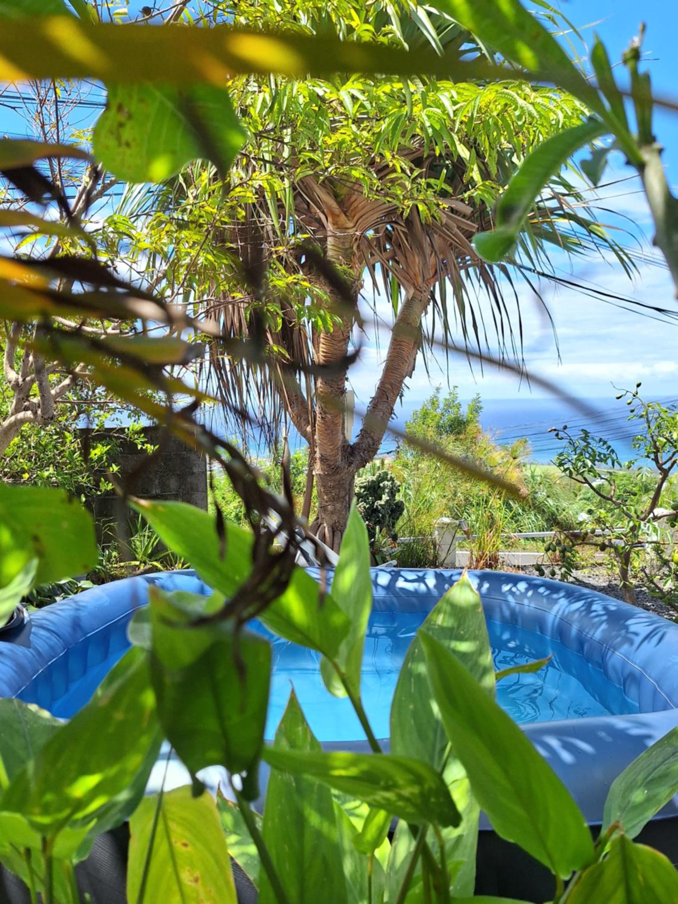 Le Cocon de Madana view 3