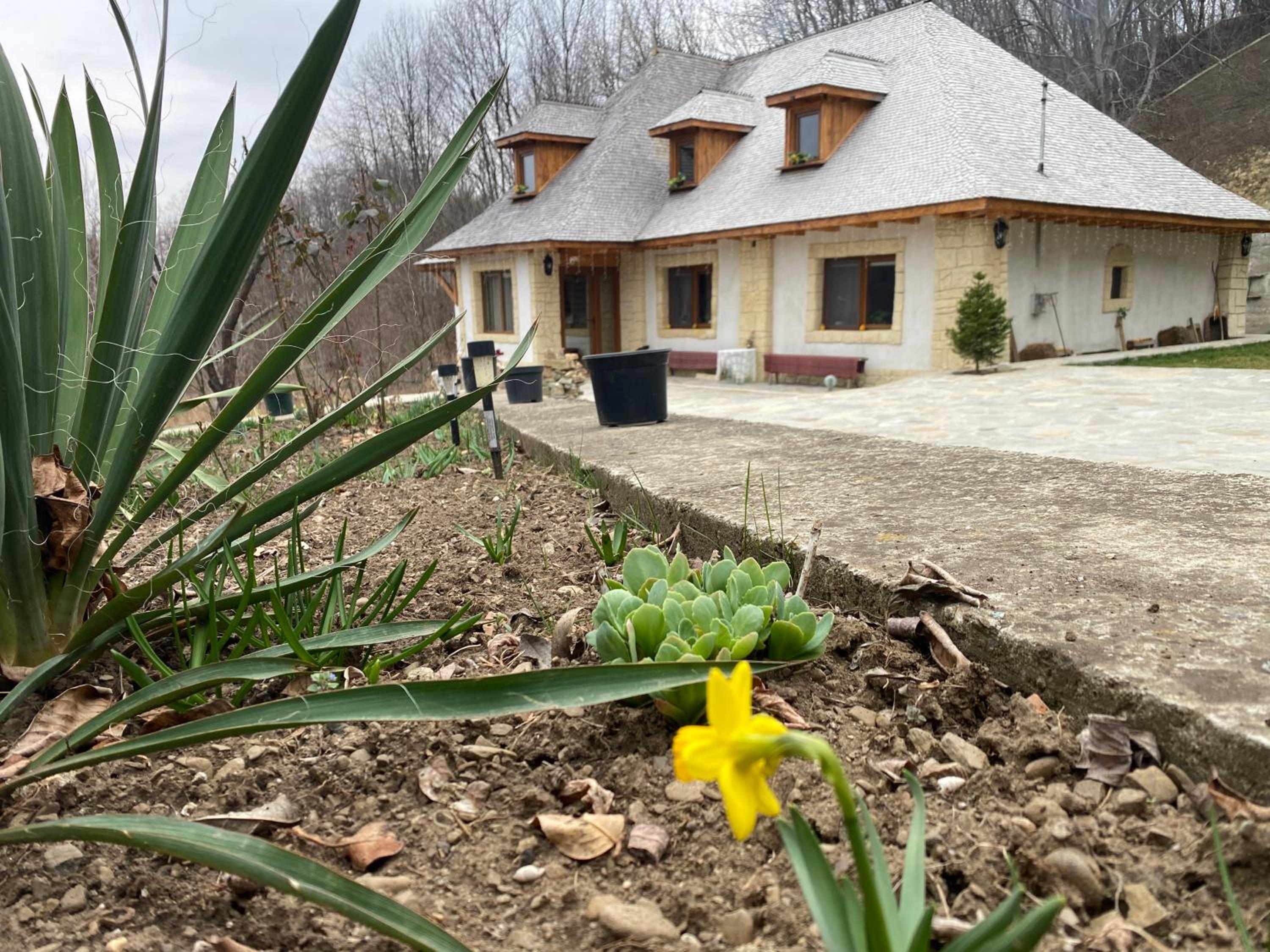 Casa cu șindrilă