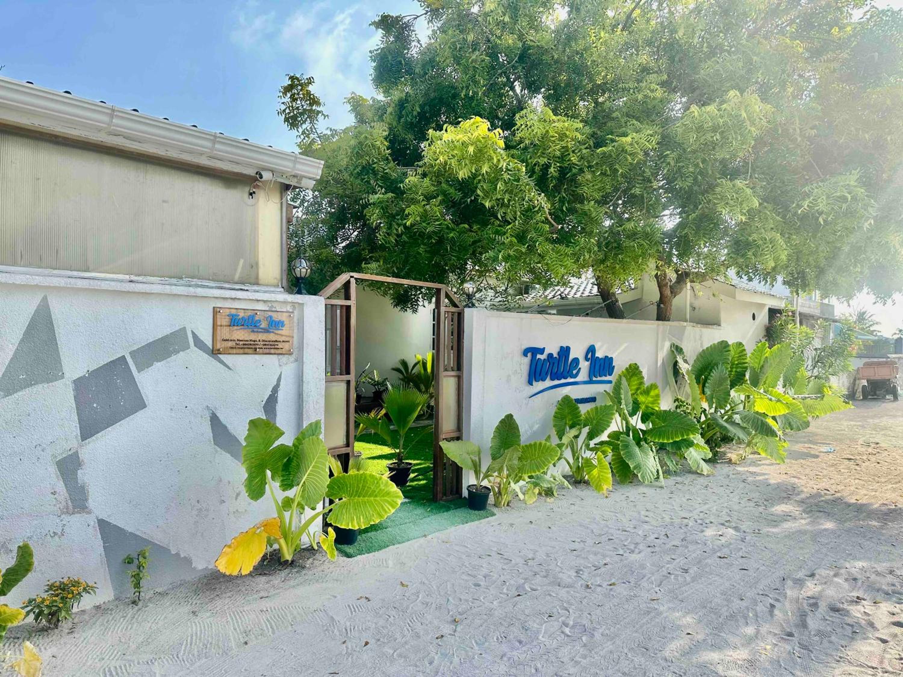 Turtle Inn Dharavandhoo photo 4