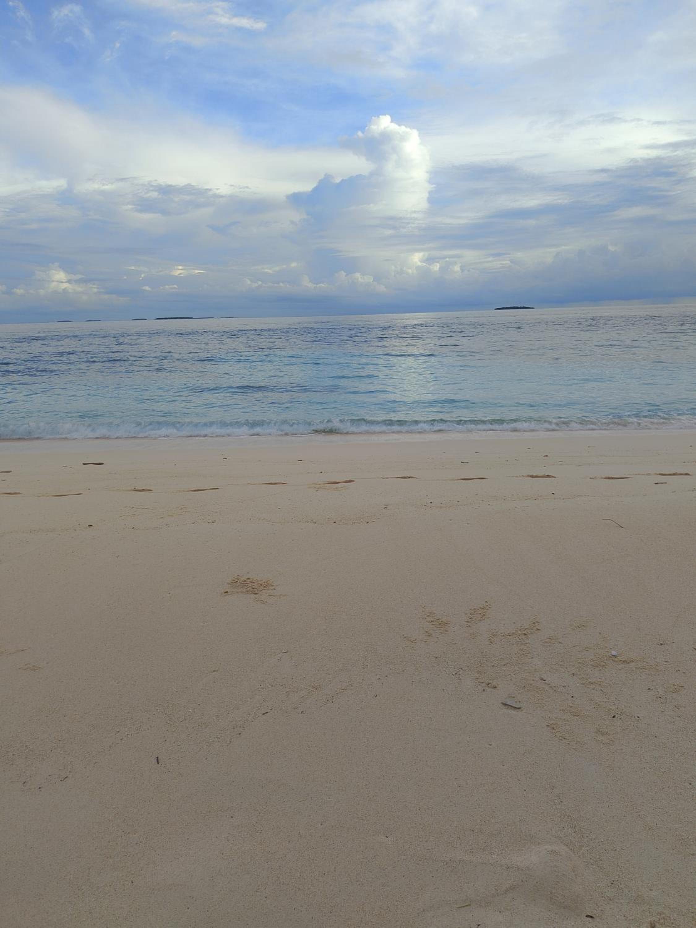 Turtle Inn Dharavandhoo photo 5