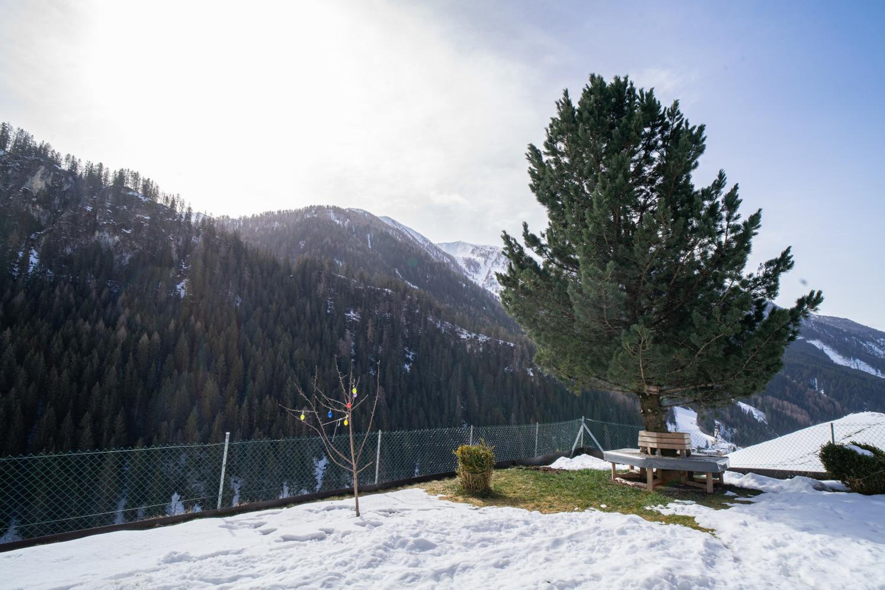 Ferienwohnung Alpenblick