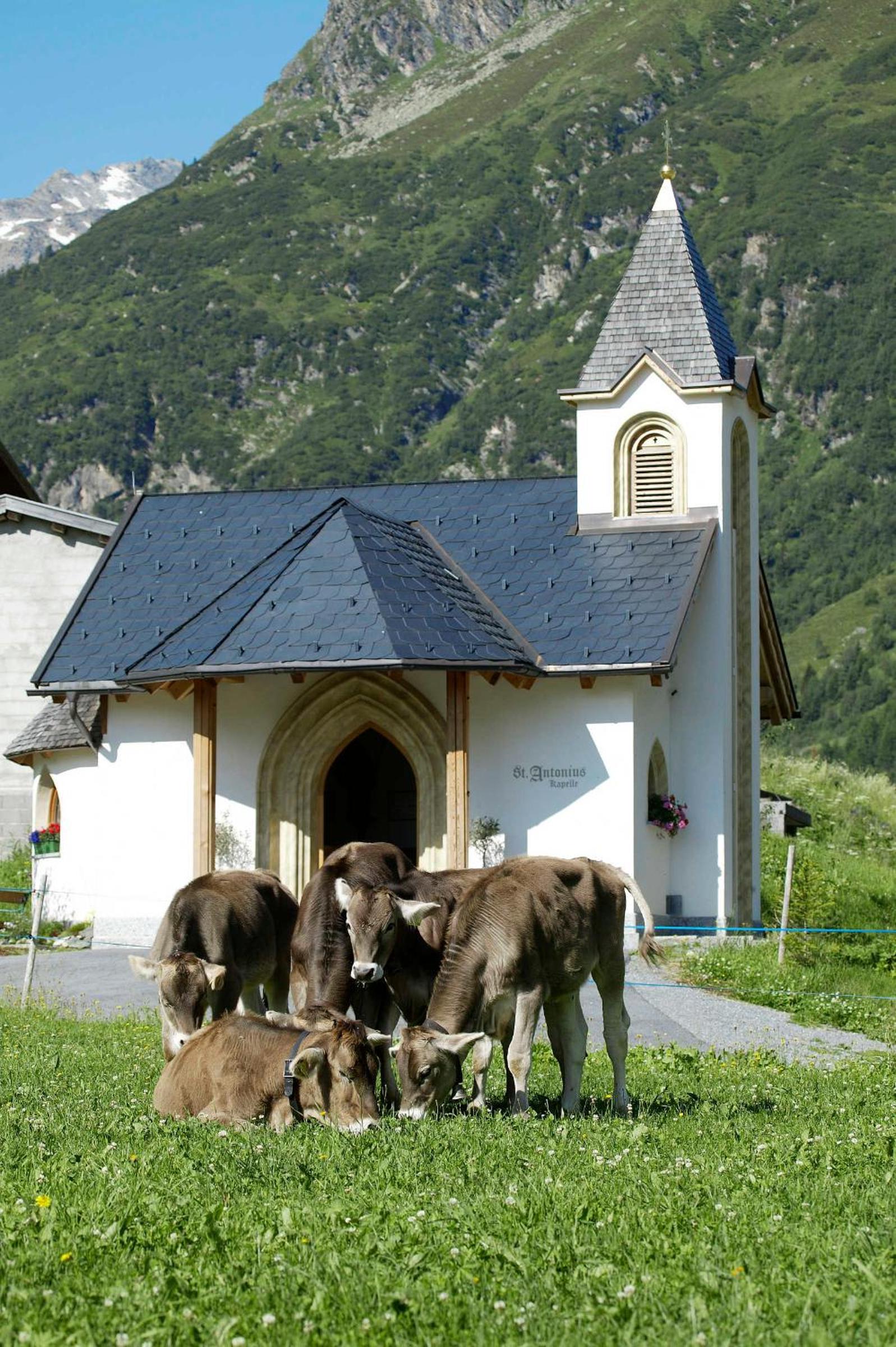 Photo 26