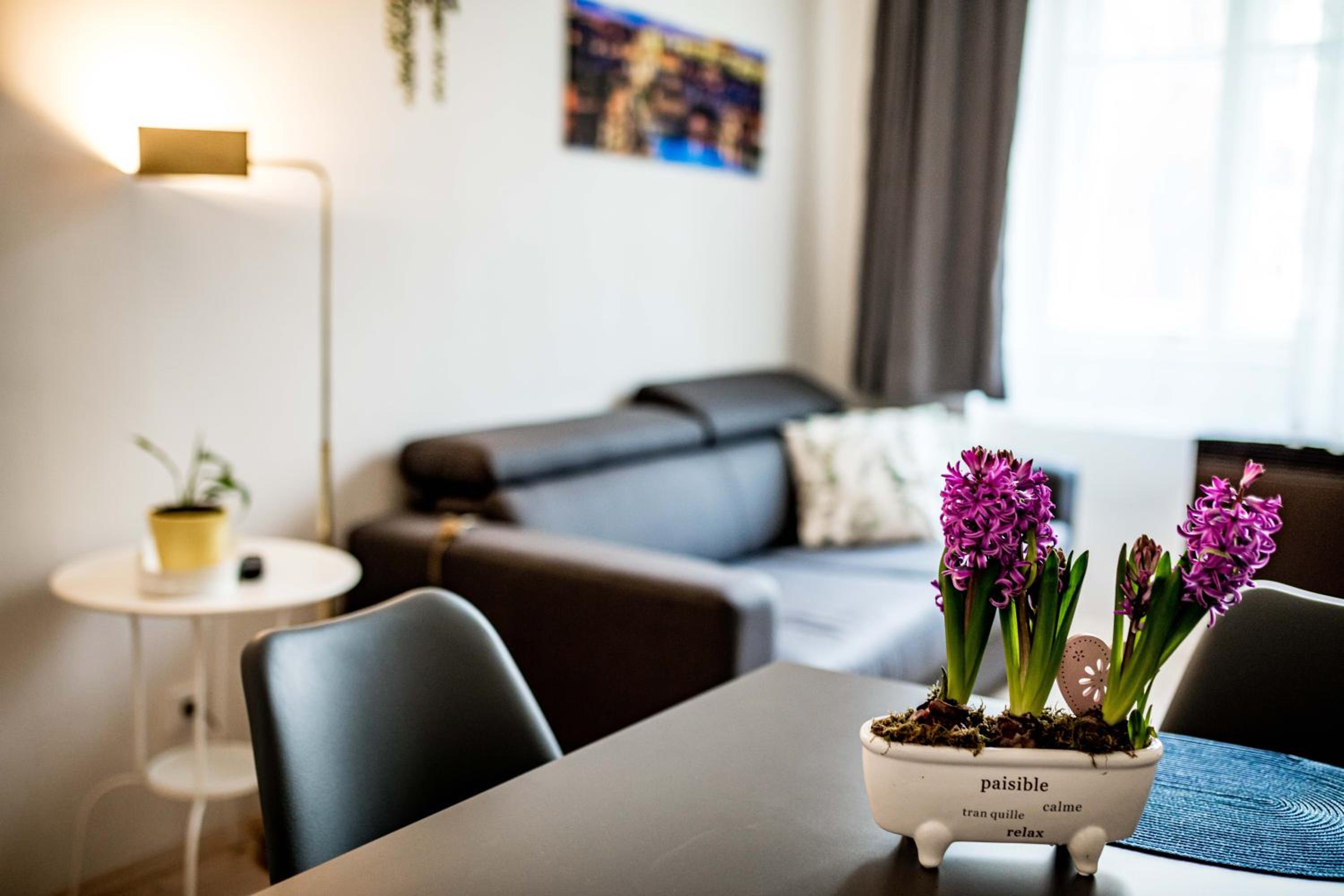 Fritscher Apartments, s.r.o.