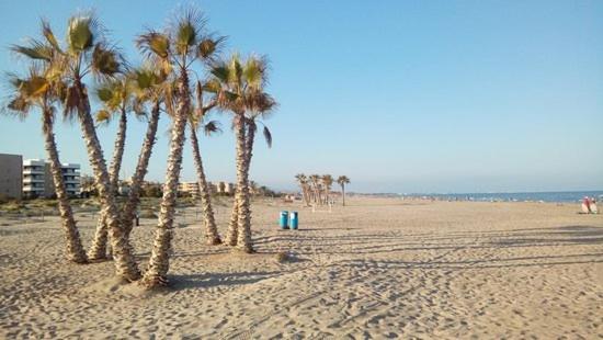 APARTAMENTO PLANTA BAJA CANET DE BERENGUER