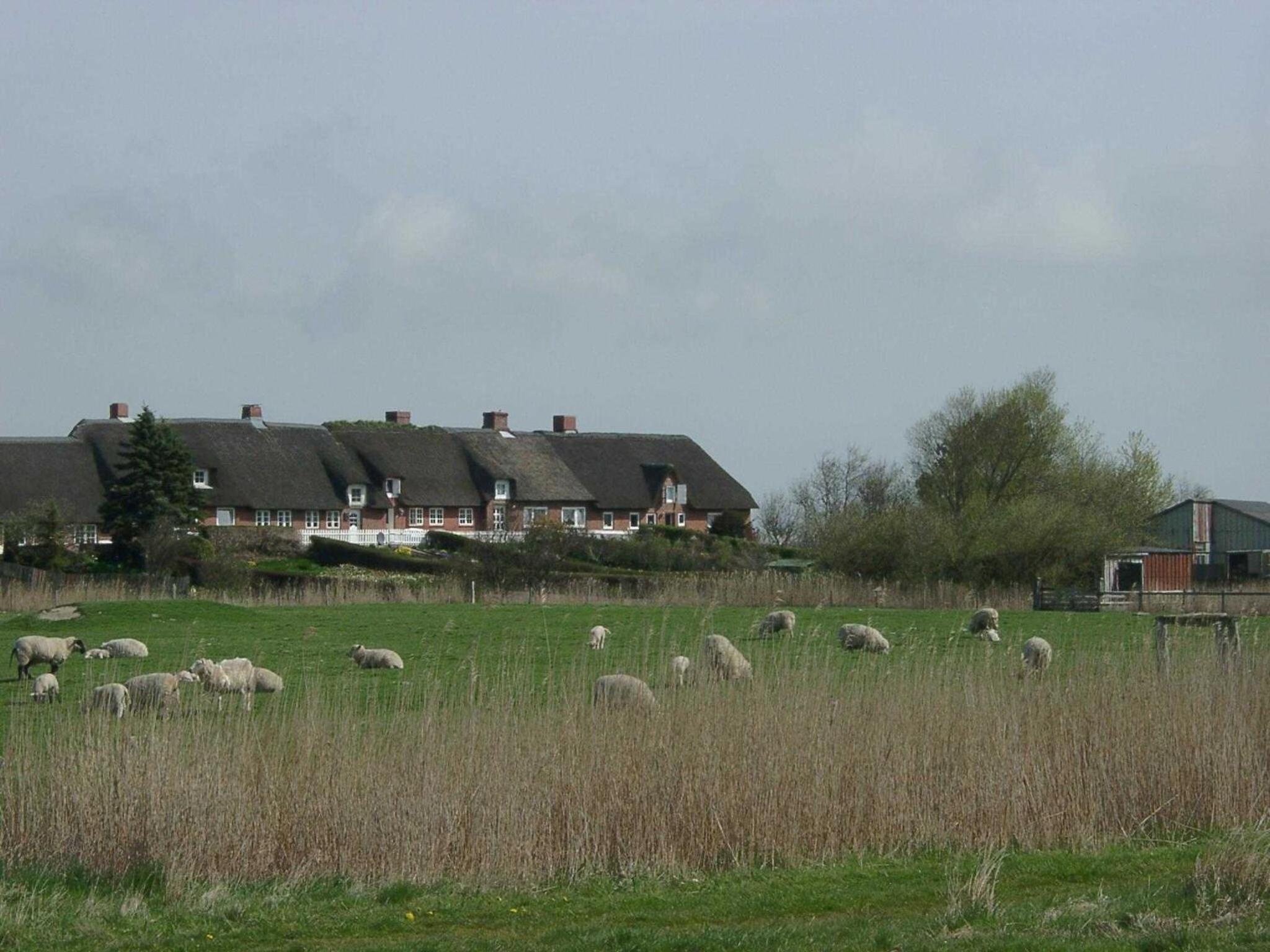 Ferienhaus Ockholm