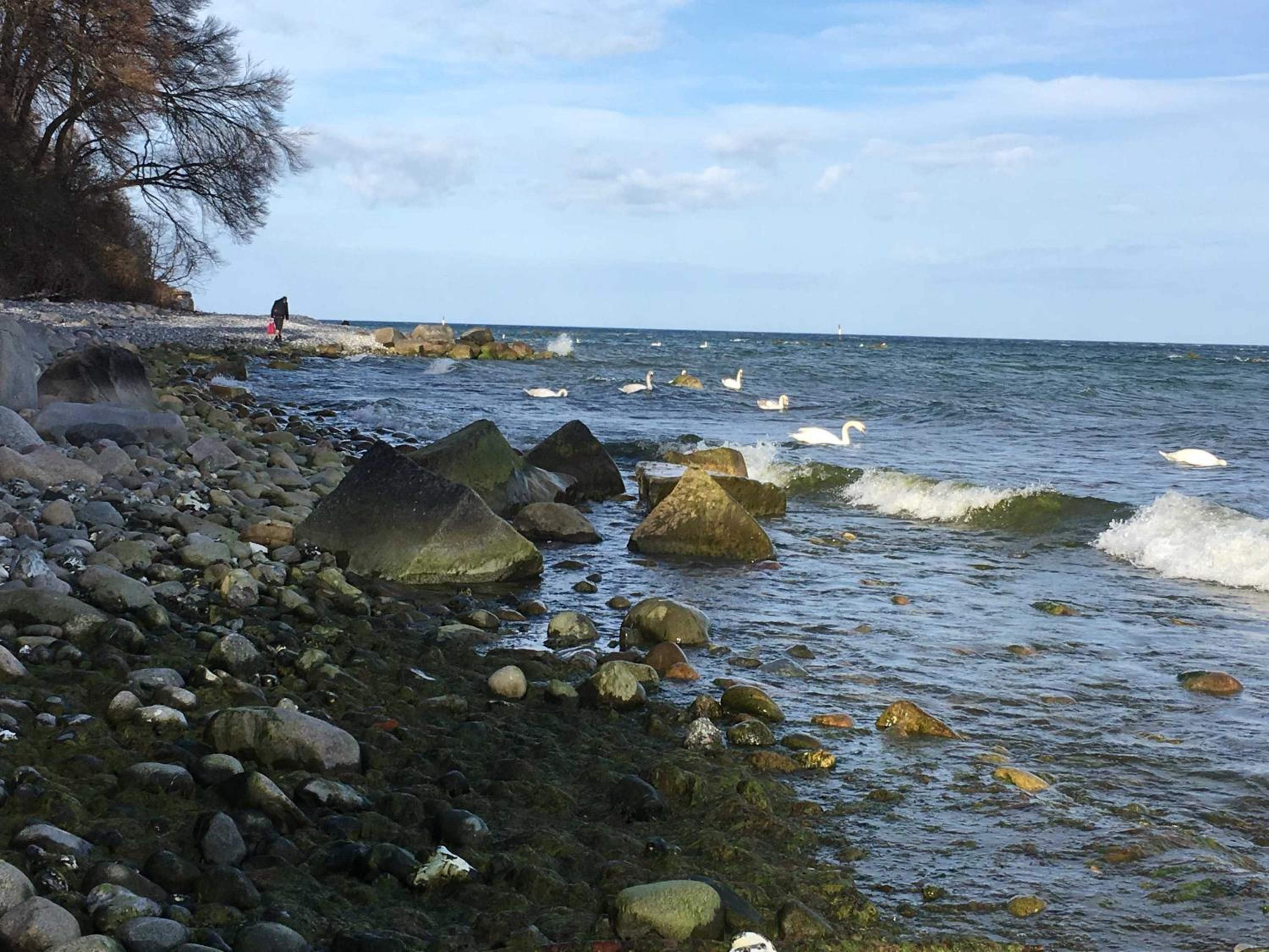 Ferienwohnungen Polchow - direkt am Wasser