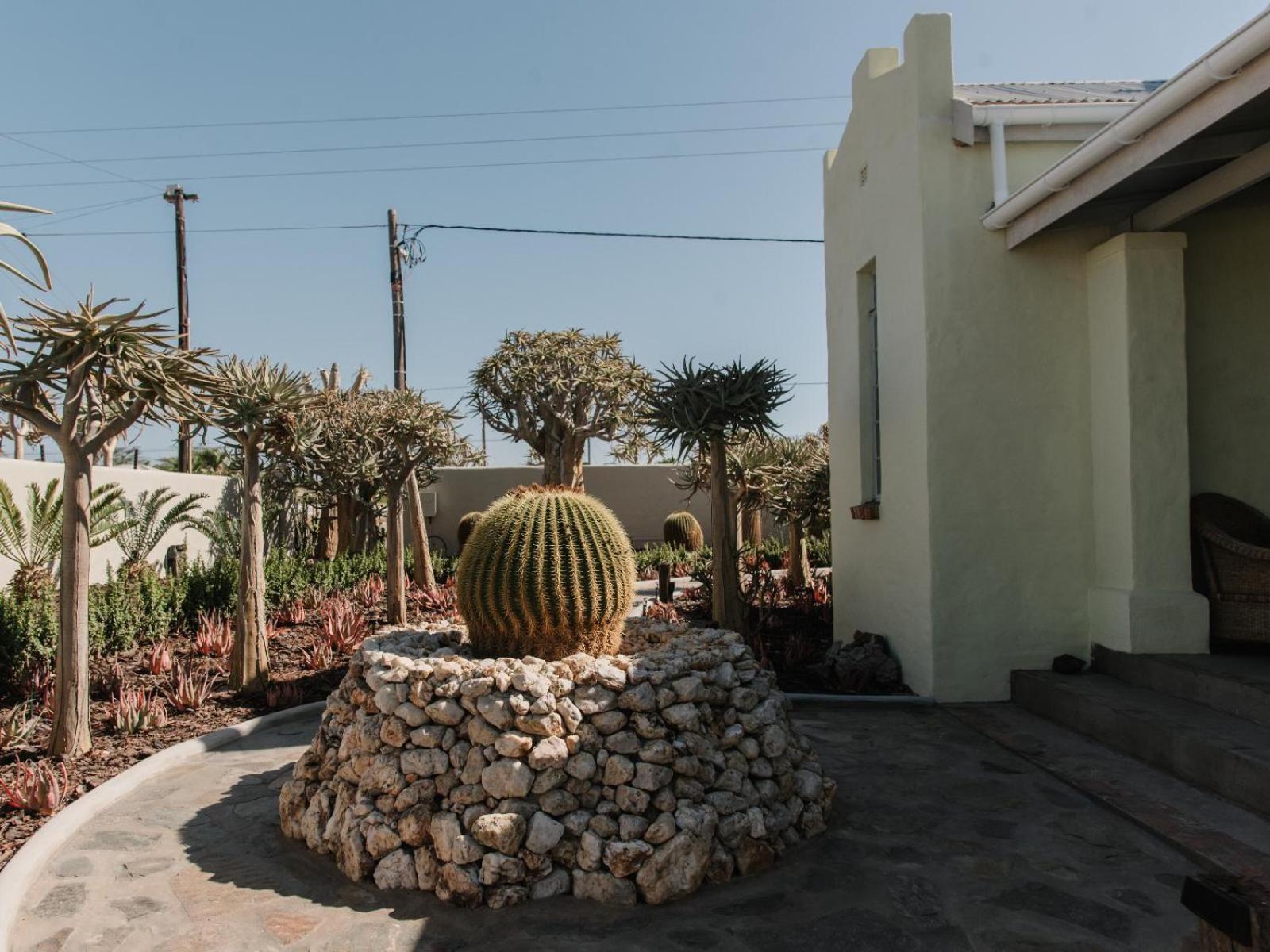 Kokerboom House