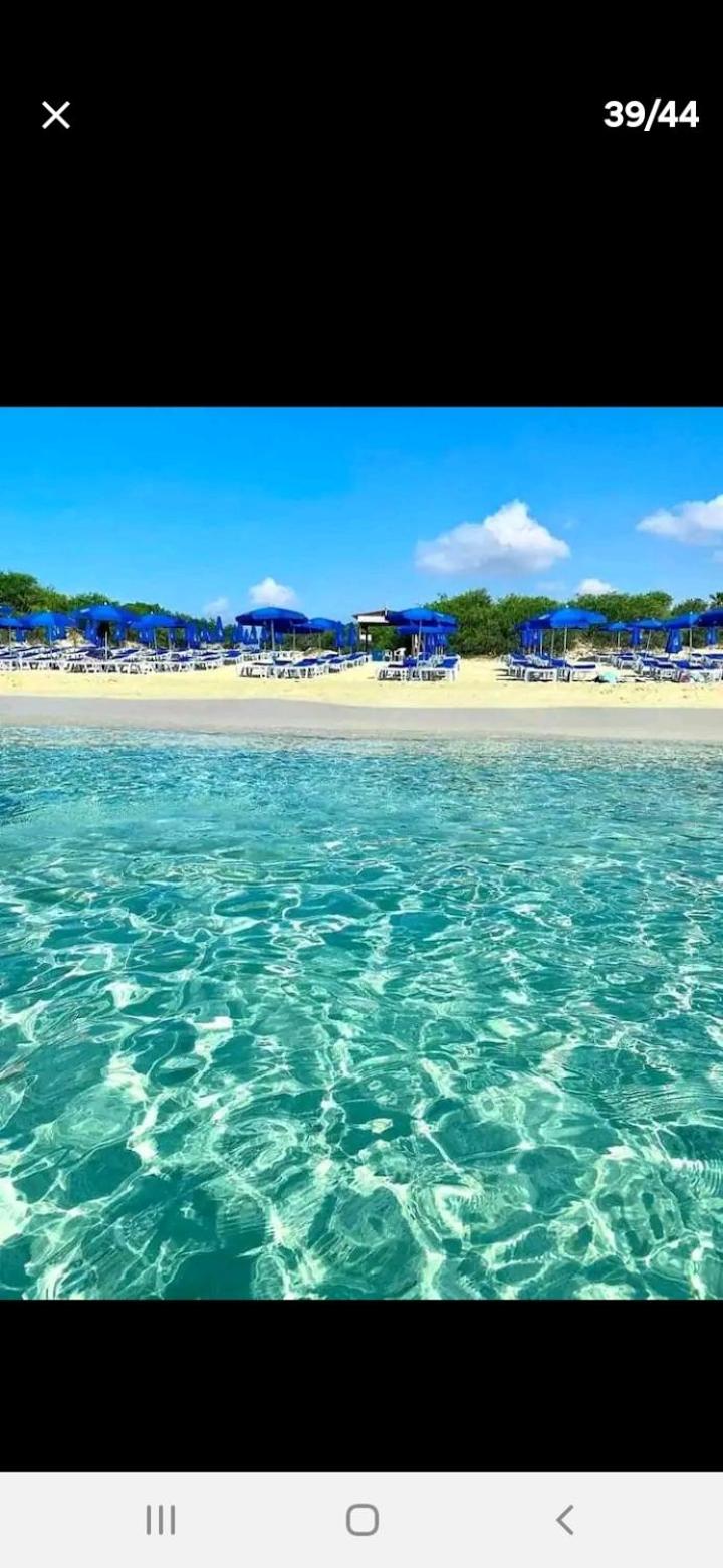 Luxury Cozy Apartment near NISSI BEACH