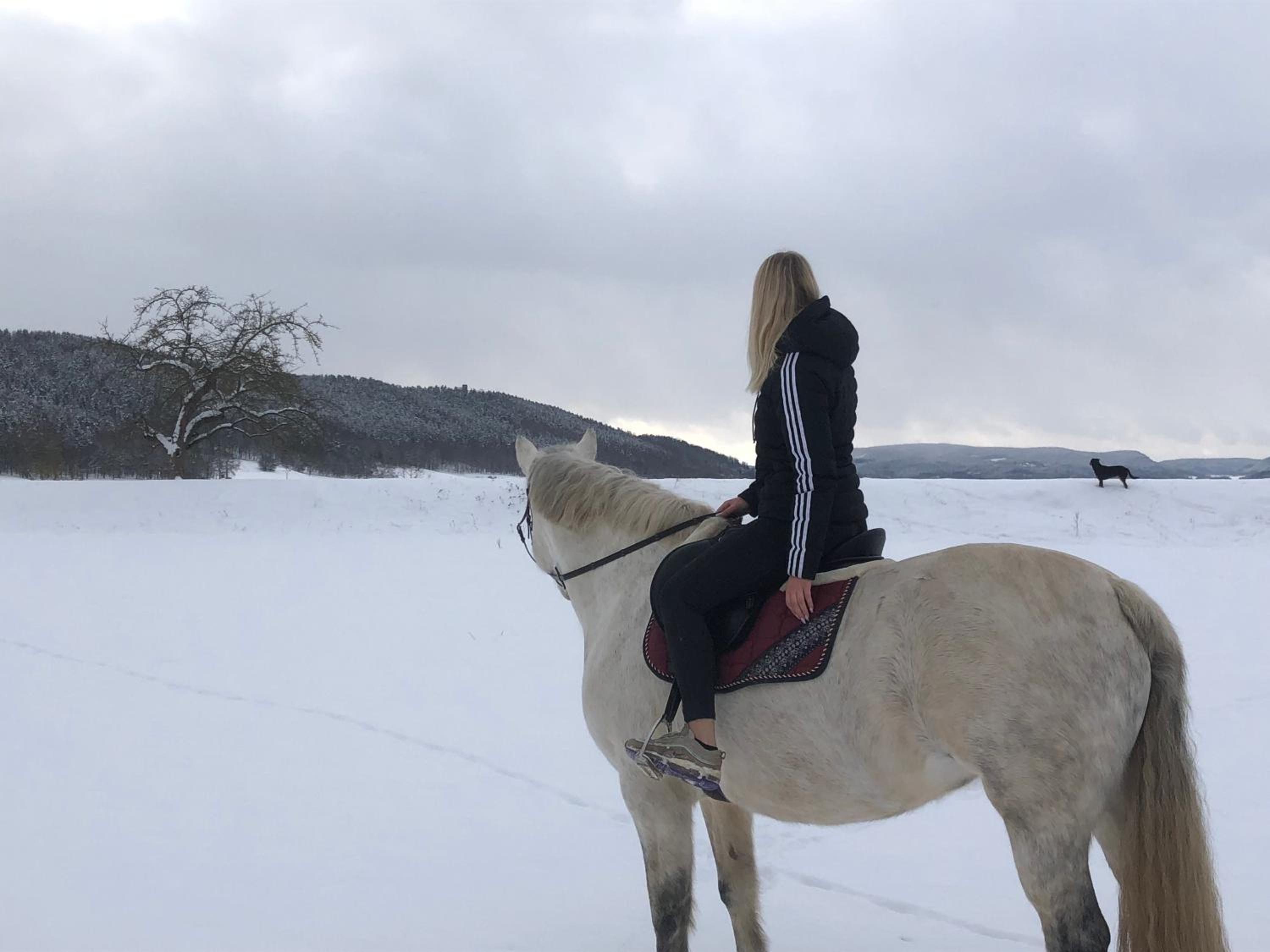 Ferienwohnungen Landliebe