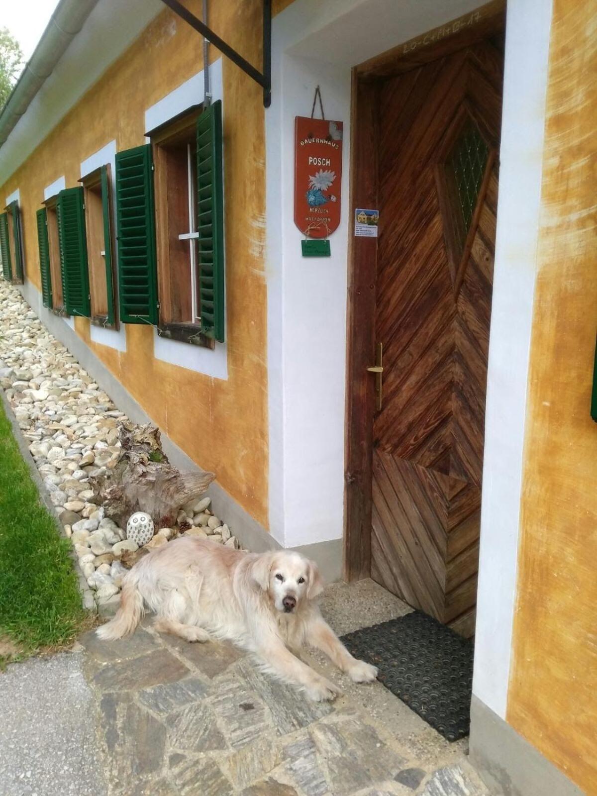 Bauernhaus Posch, Ferienappartements
